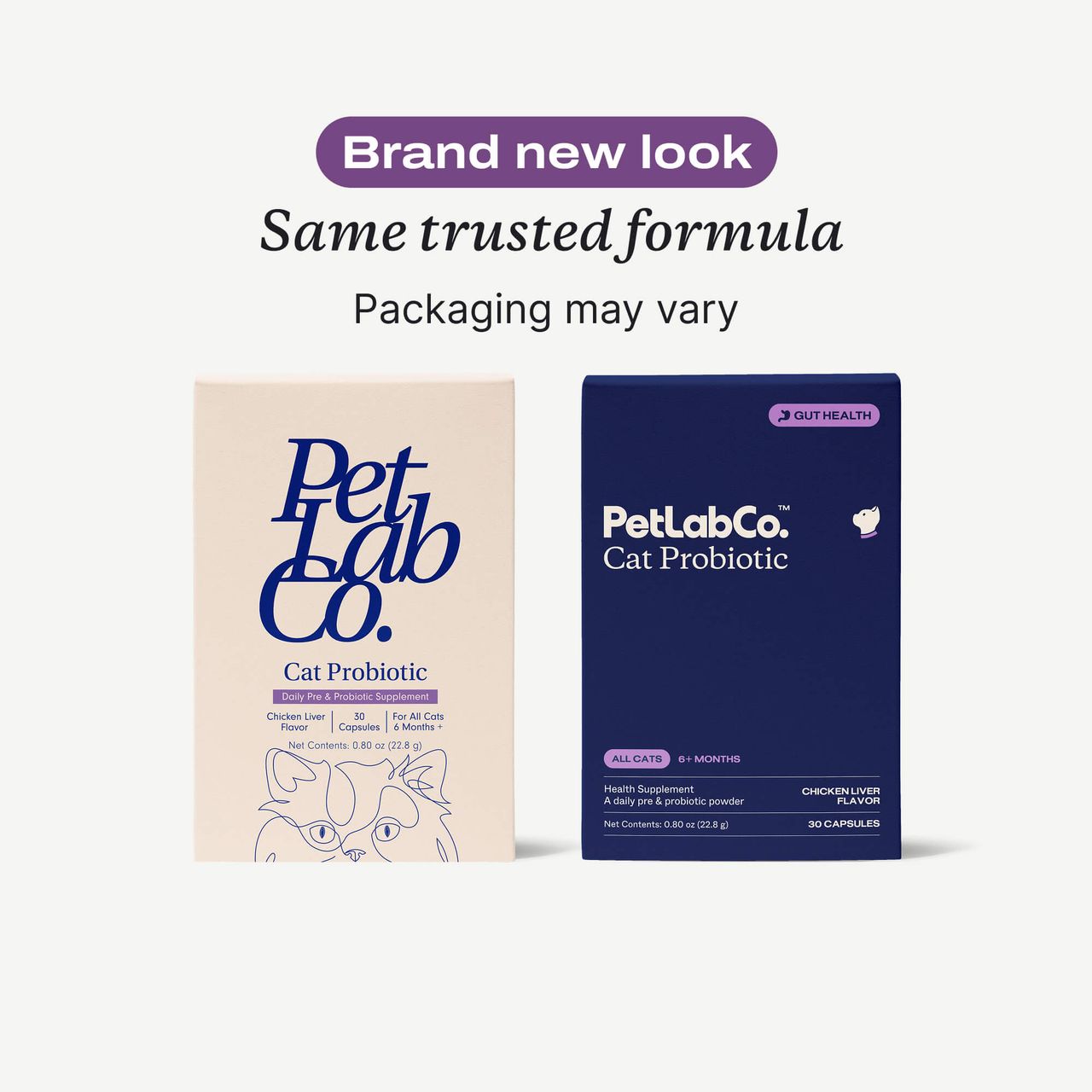 Image showcasing PetLabCo. Probiotics for Cats – Digestive & Gut Health Support