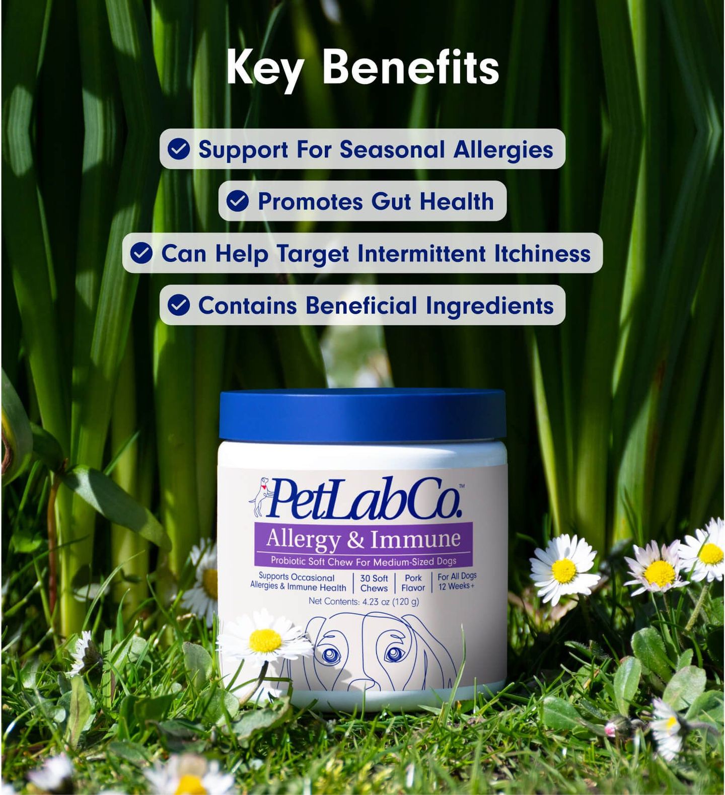 PetLab Co. Allergy & Immune Chews – Dog Probiotics for Seasonal Allergies