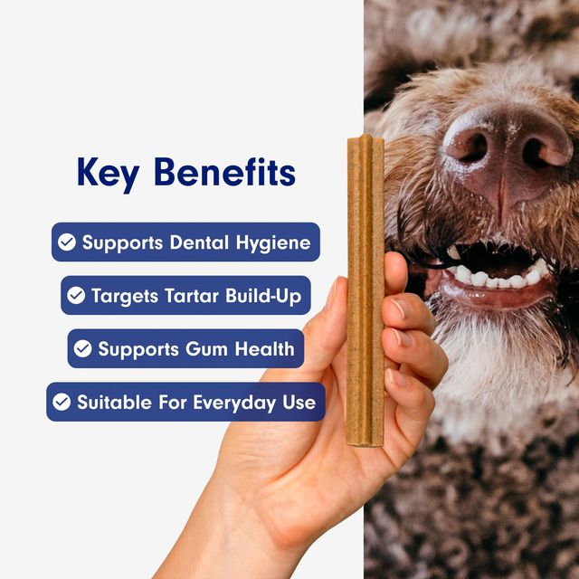 PetLab Co. Dental Sticks for Dogs Prebiotic Dental Chews