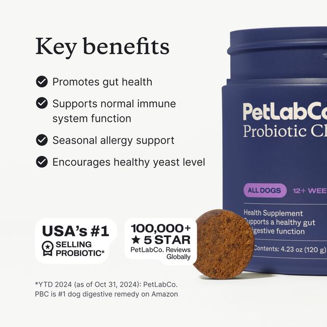 Key benefits of Probiotic Chews