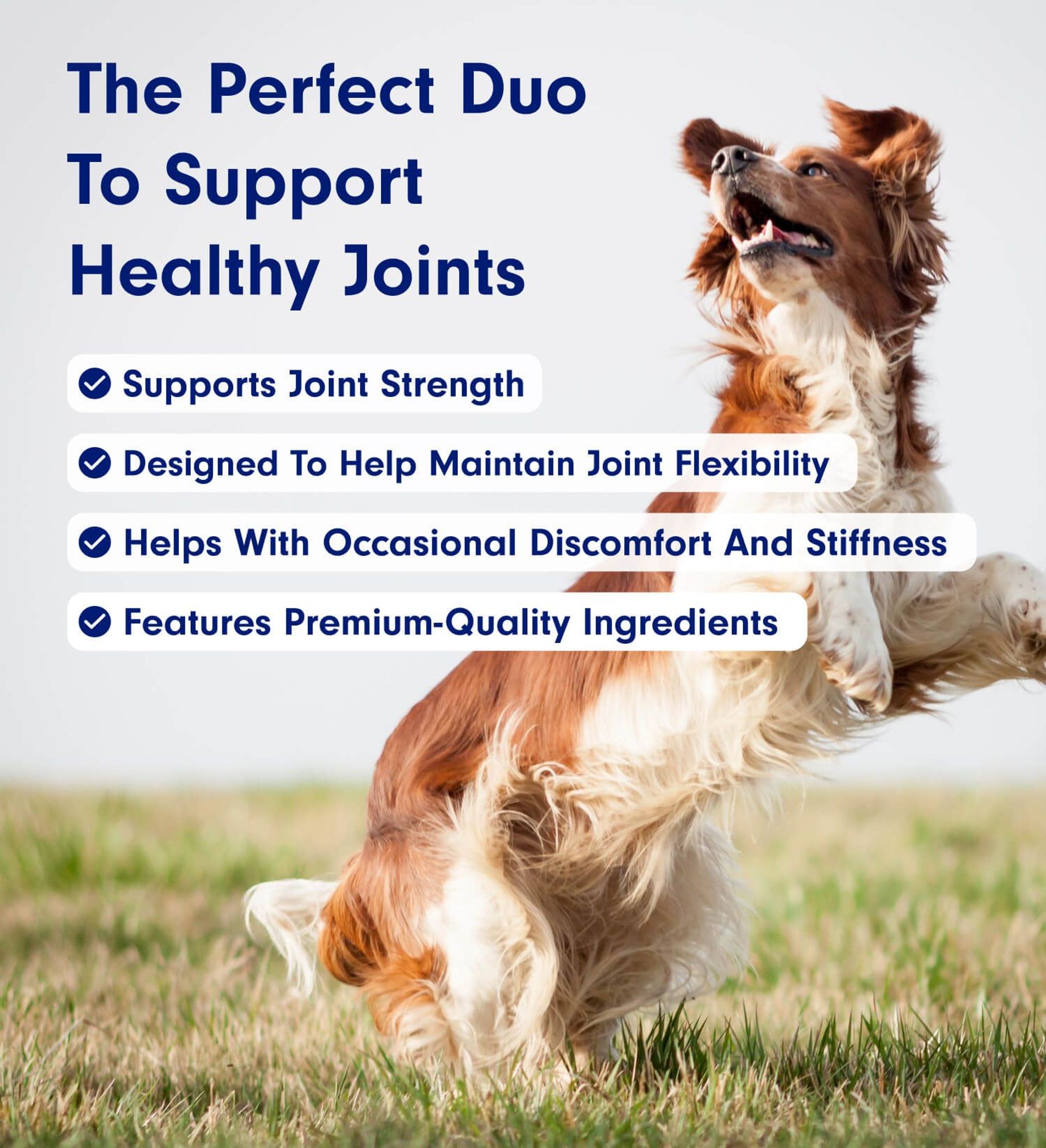 Mobility Bundle | Dog Joint & Mobility Supplements | PetLab Co.