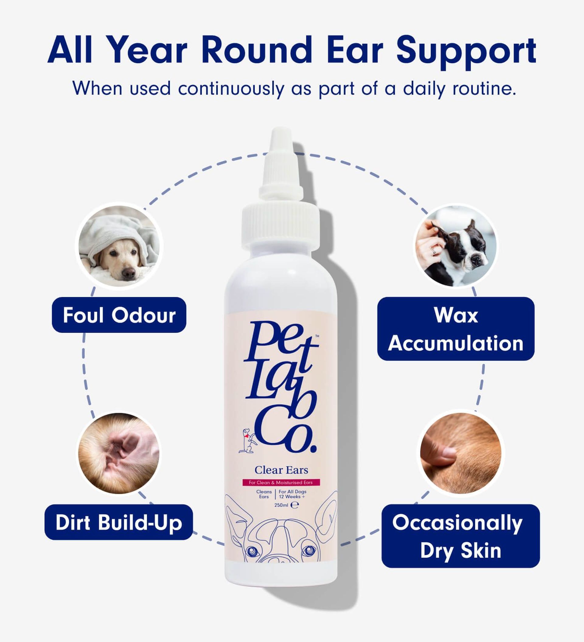 Photo inspiration: Picture Idea: Clear Ears