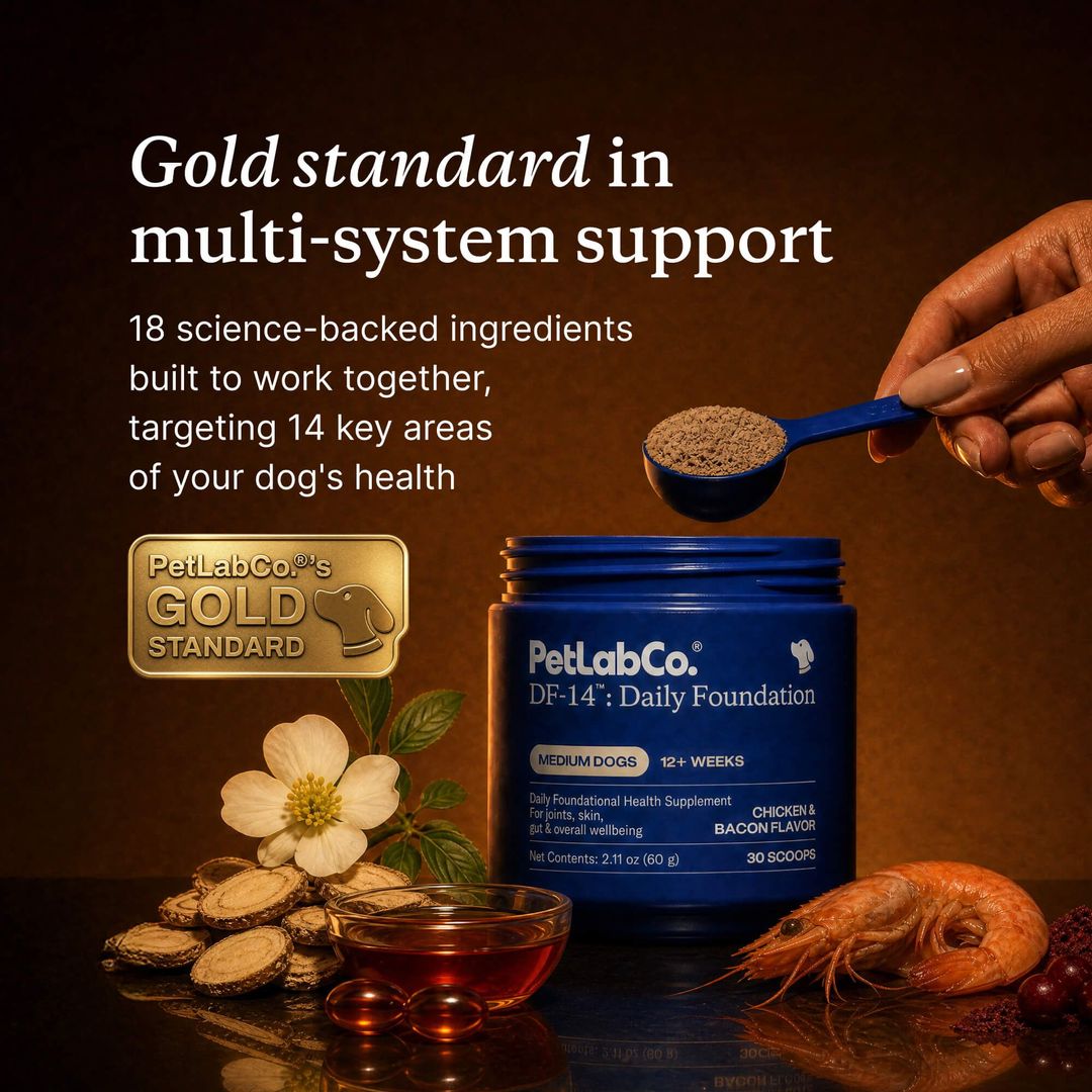 PetLabCo.® DF-14™: Daily Foundation – Multifunctional Dog Supplement Powder