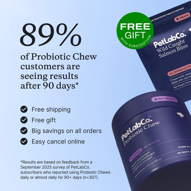 Free gift with subscription