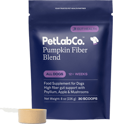 PetLabCo. Pumpkin Powder for Dogs – Dog Gut Supplement with Fiber