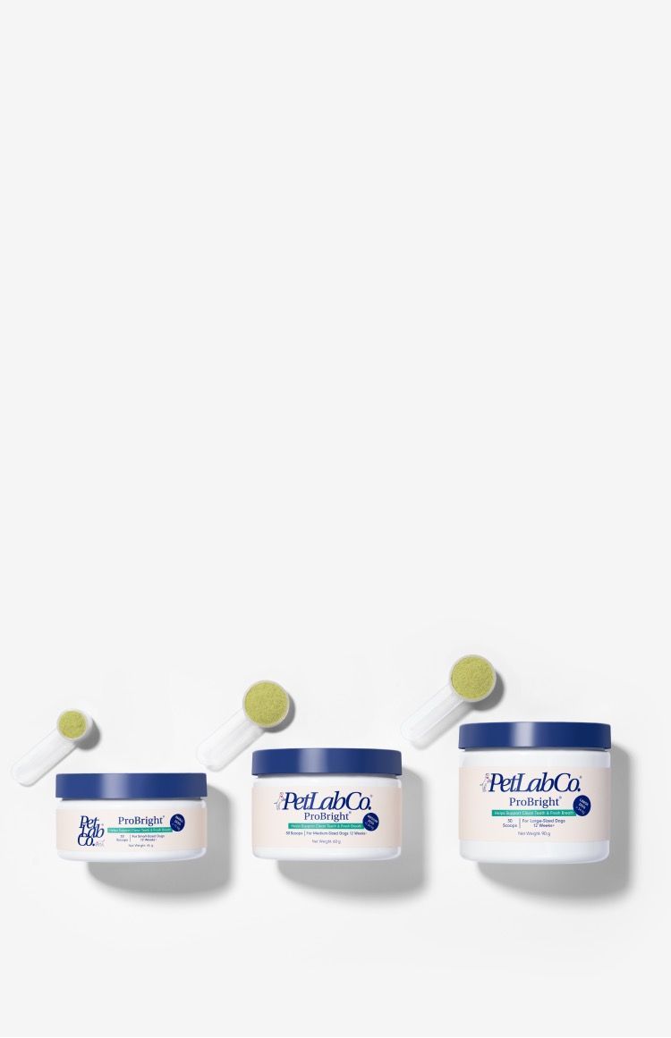 Petlab Home Hero Image