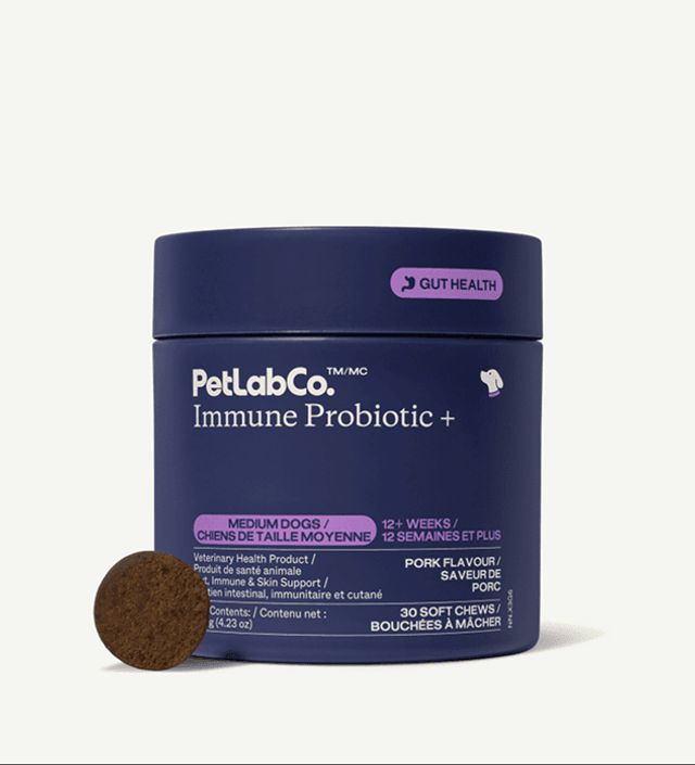 Probiotics for dogs | Canada’s top-selling probiotic¹