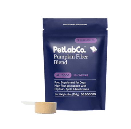 Pumpkin Fiber Blend