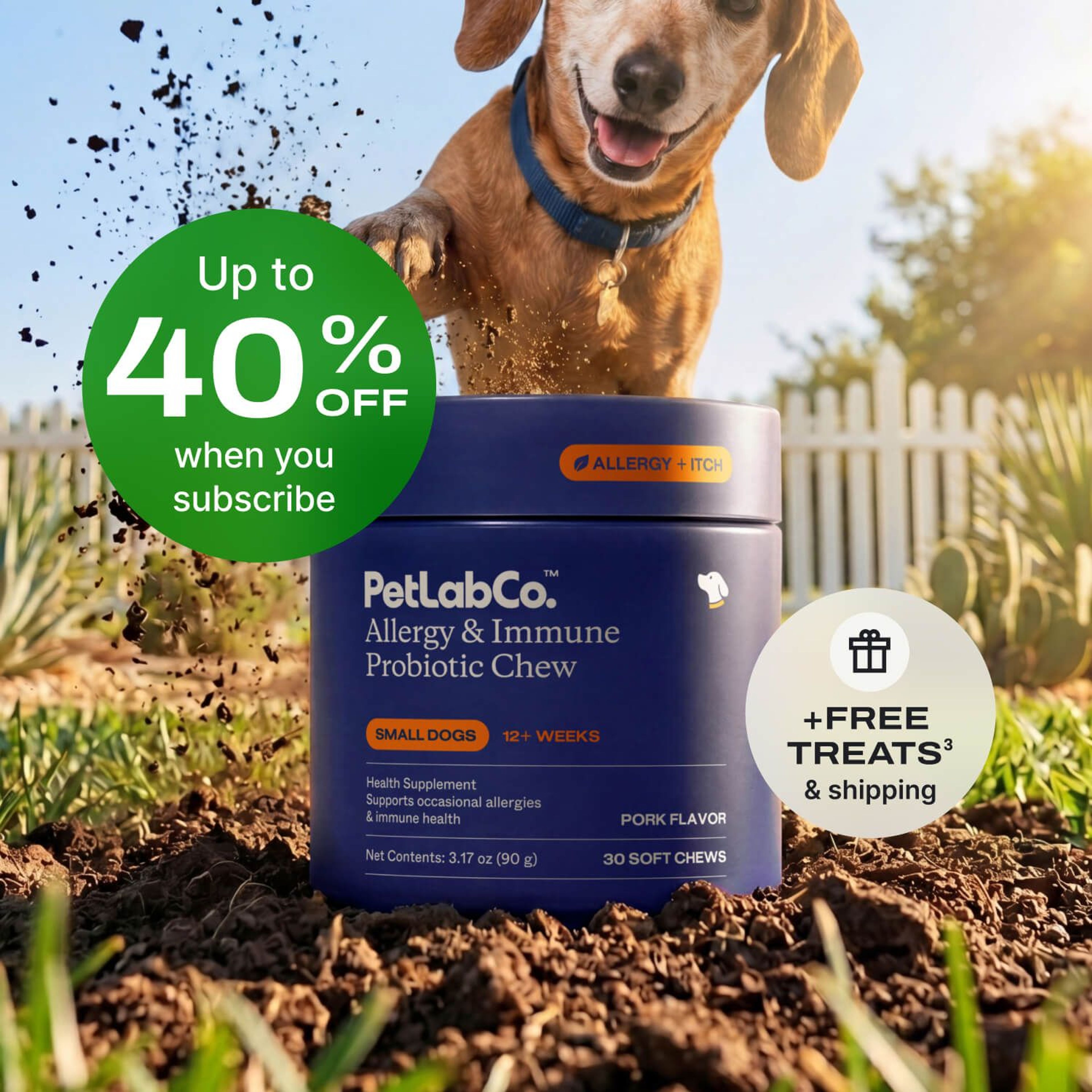 Petlab Co. Dog Allergy &amp; Immune Probiotics - Soft Chews product image with subscription offer