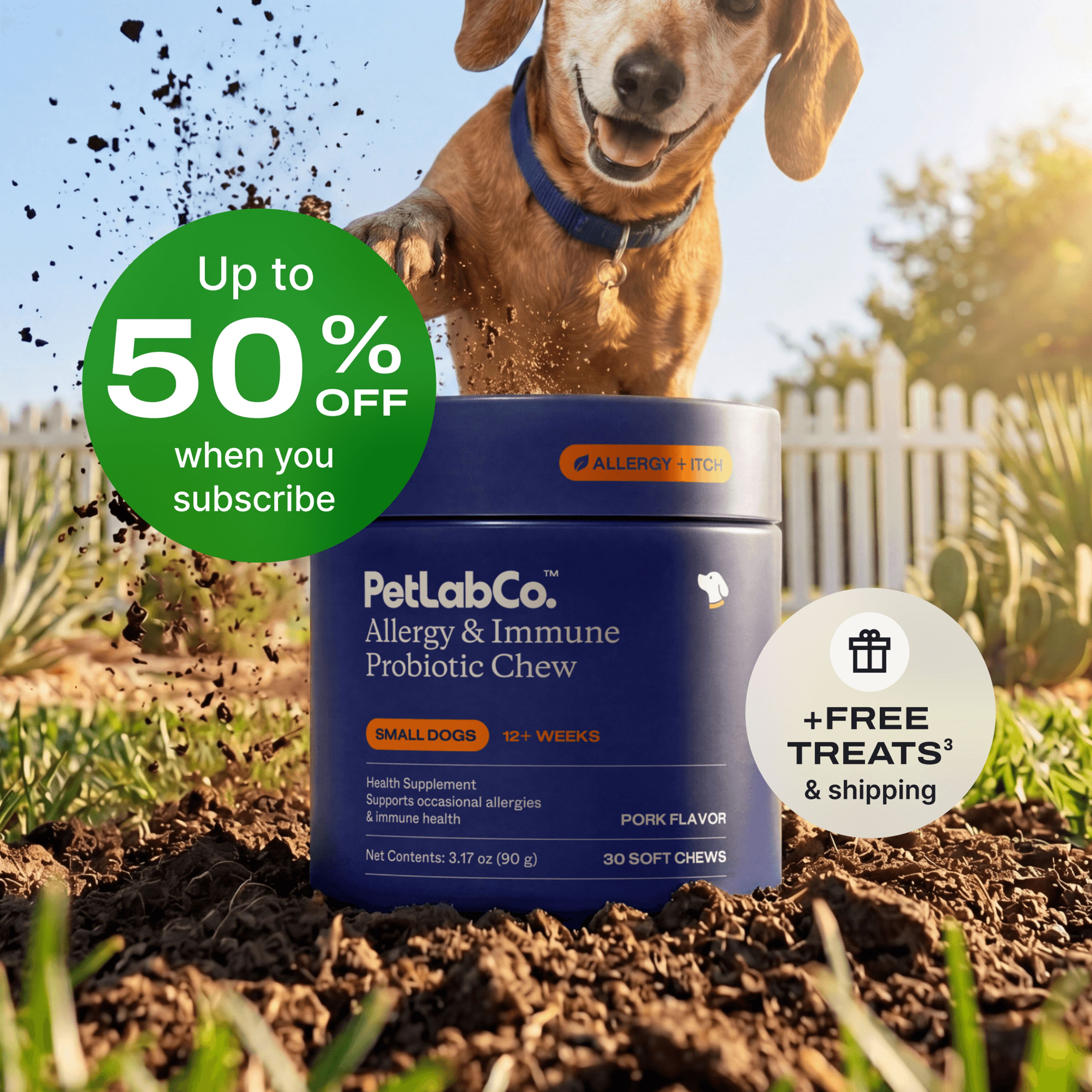 Petlab Co. Dog Allergy & Immune Probiotics - Soft Chews product image with subscription offer