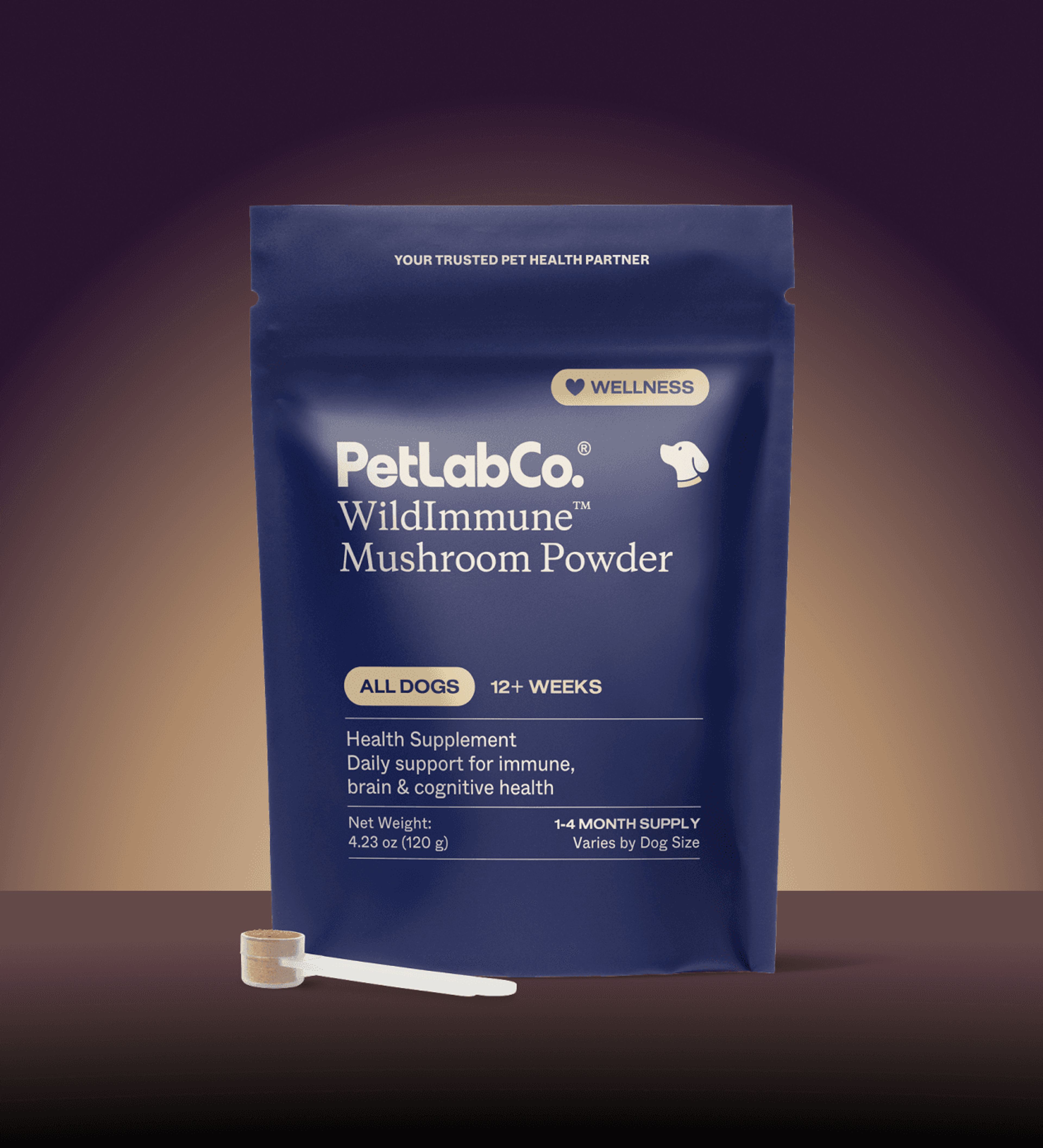 WildImmune™ Mushroom Powder