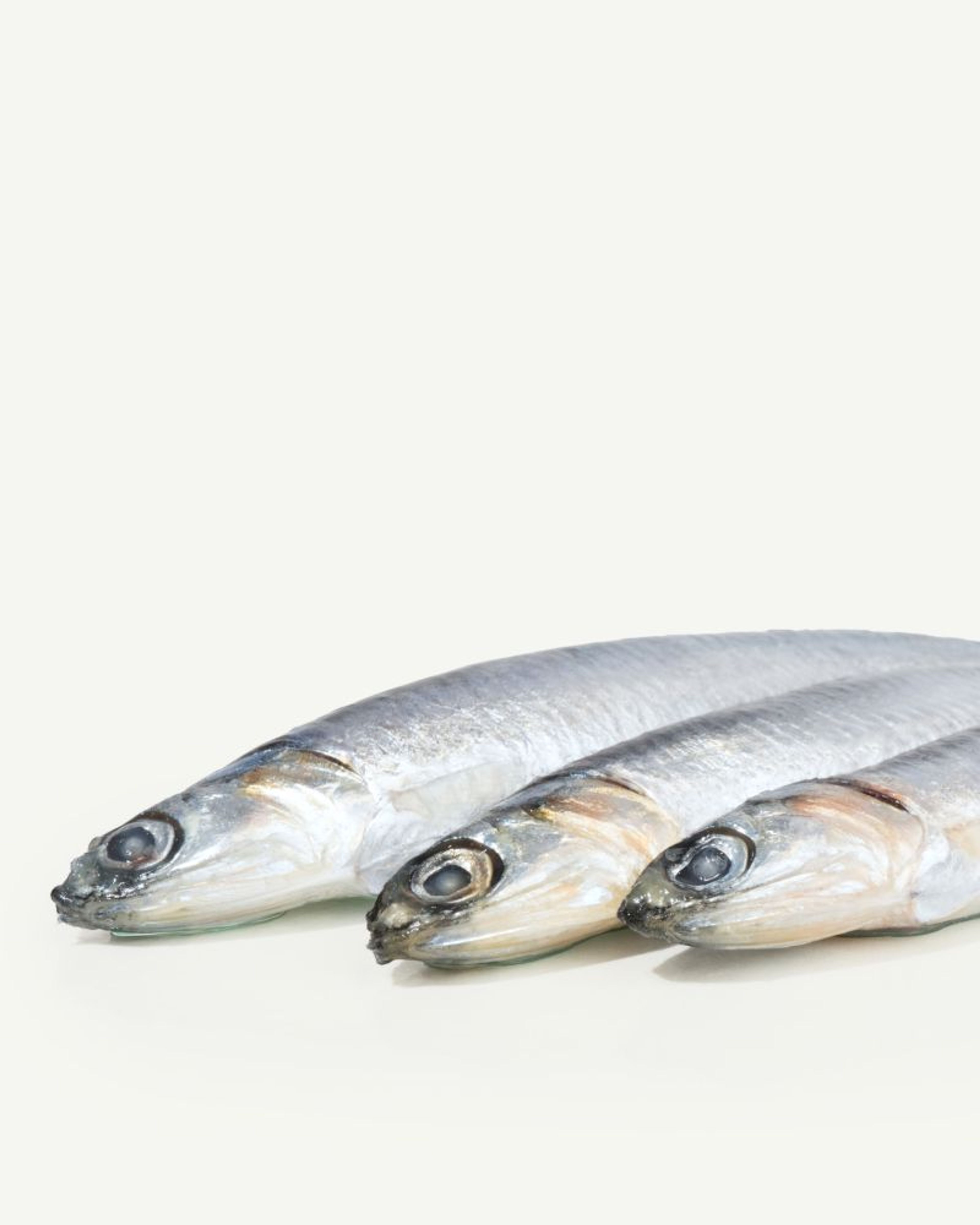 Total Omega 3 Fatty Acids (Anchovy Oil)