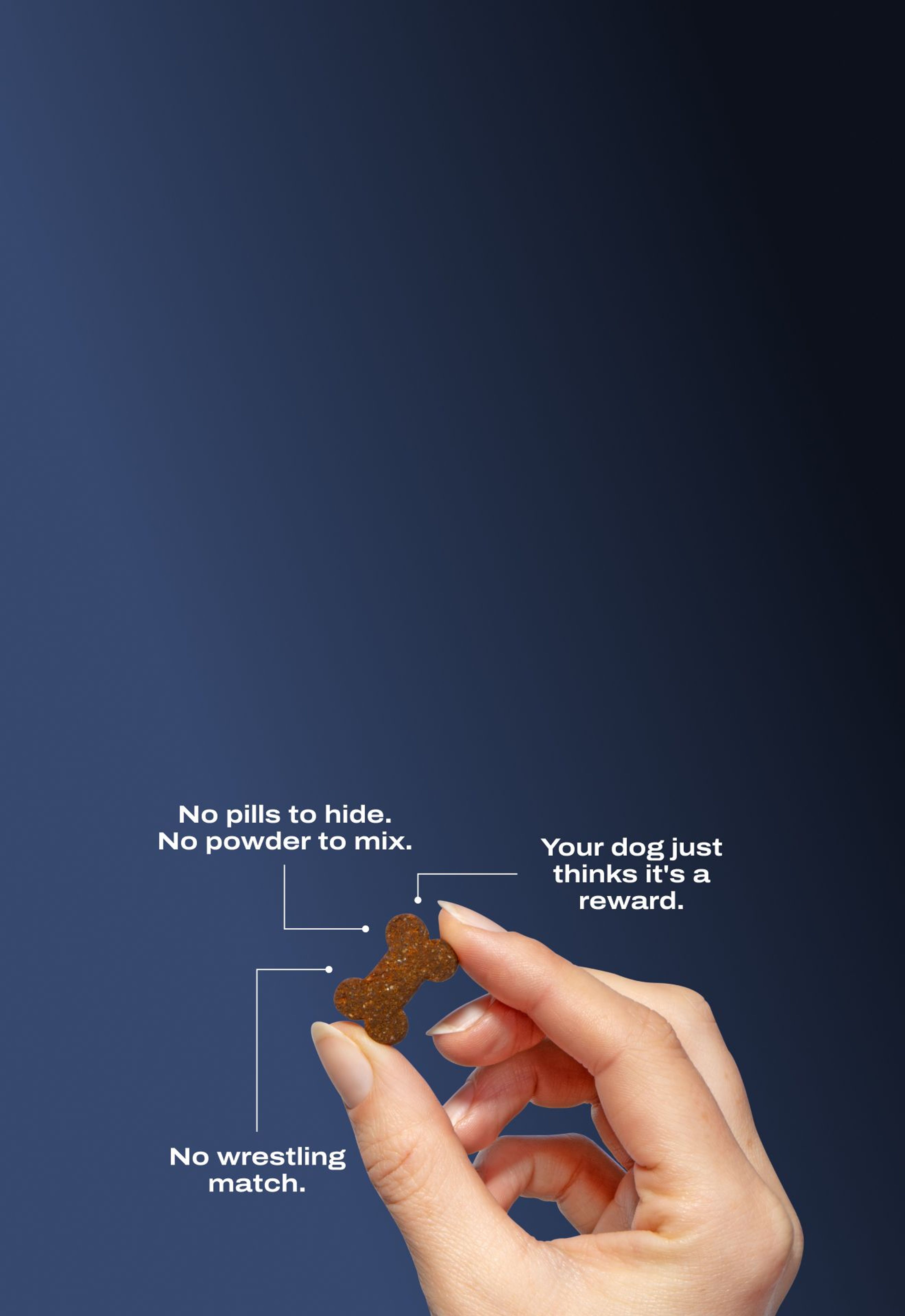 Advanced Joint Care Chew