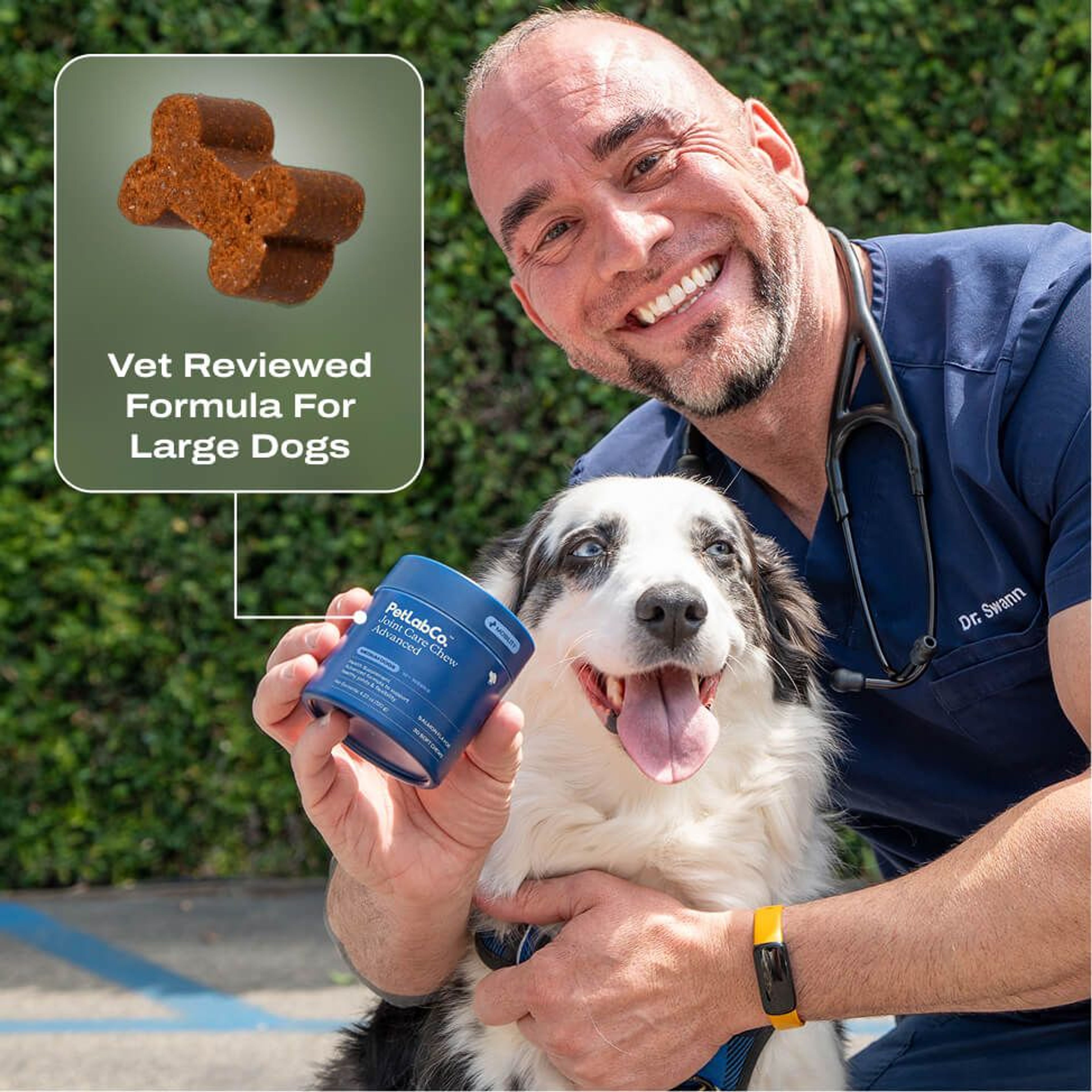 Vet Reviewed Formula For Large Dogs