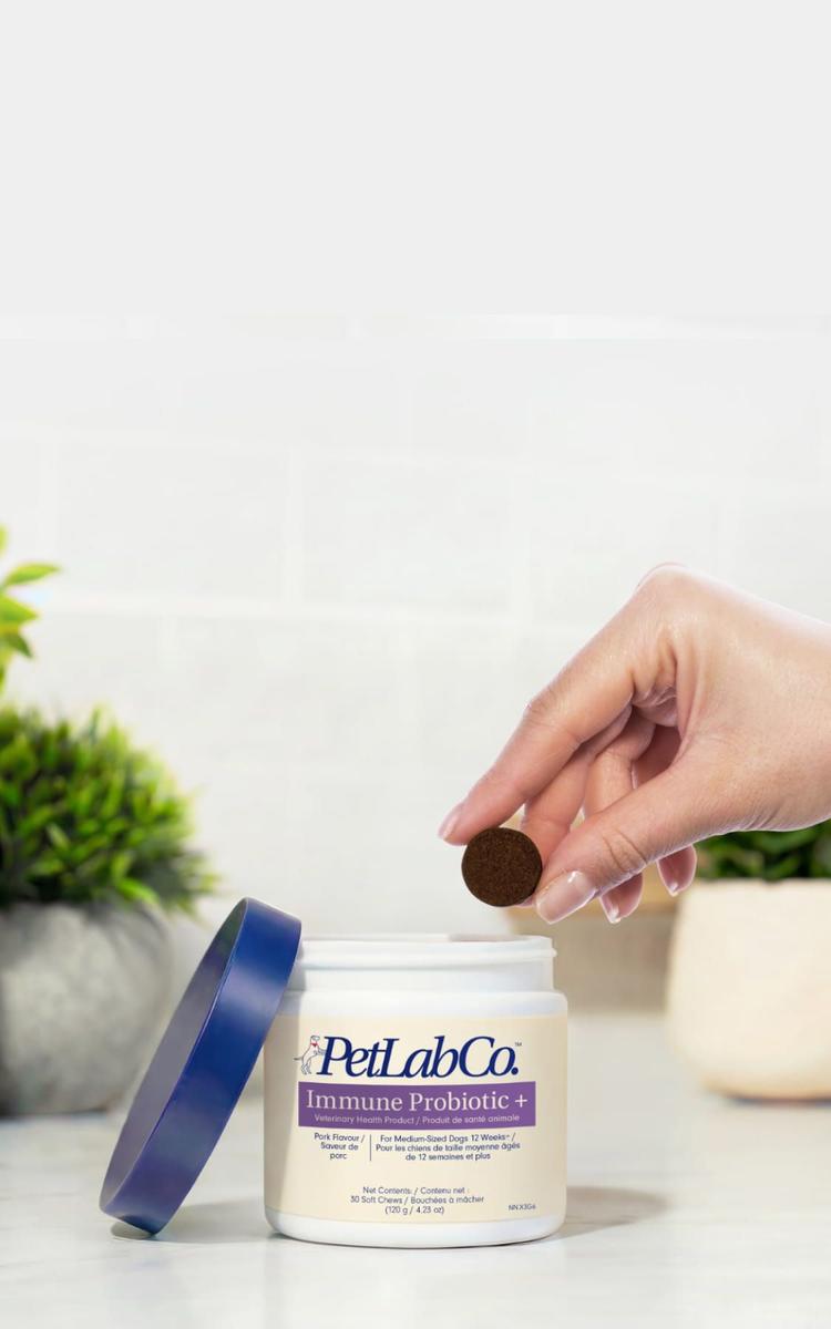 Petlab Home Hero Image