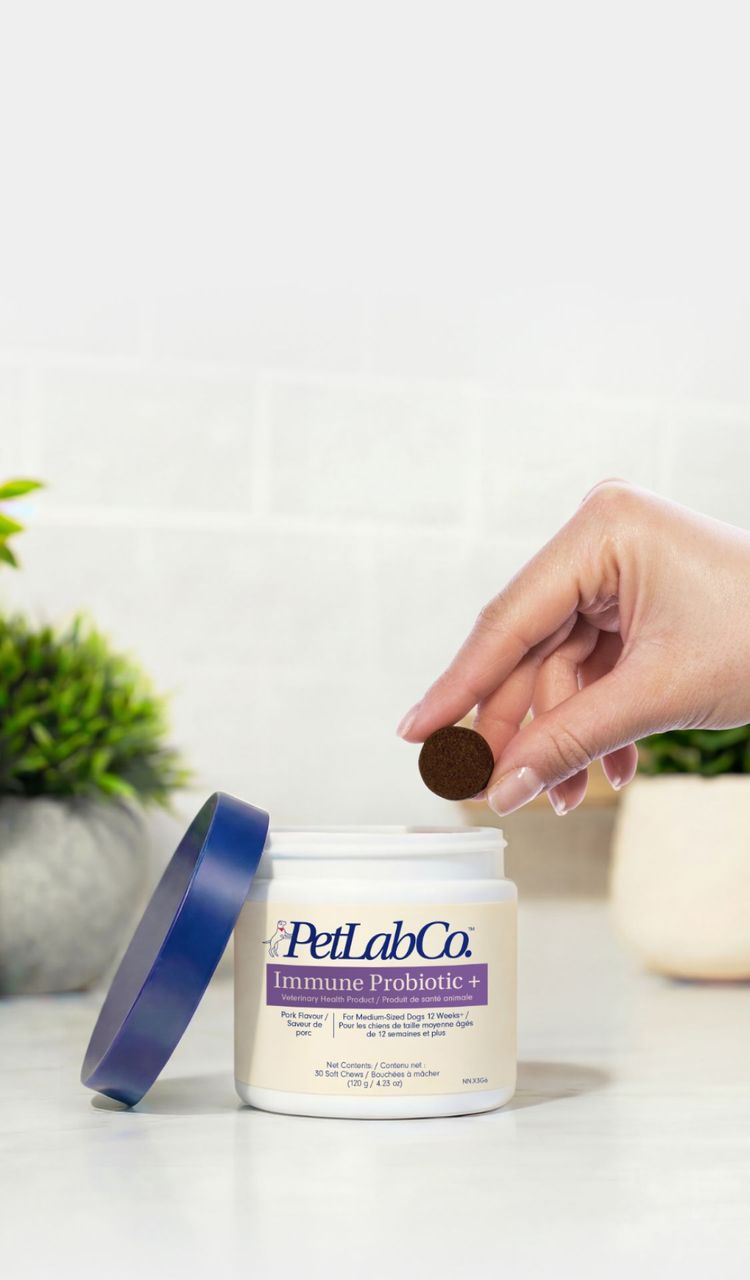 Petlab Home Hero Image