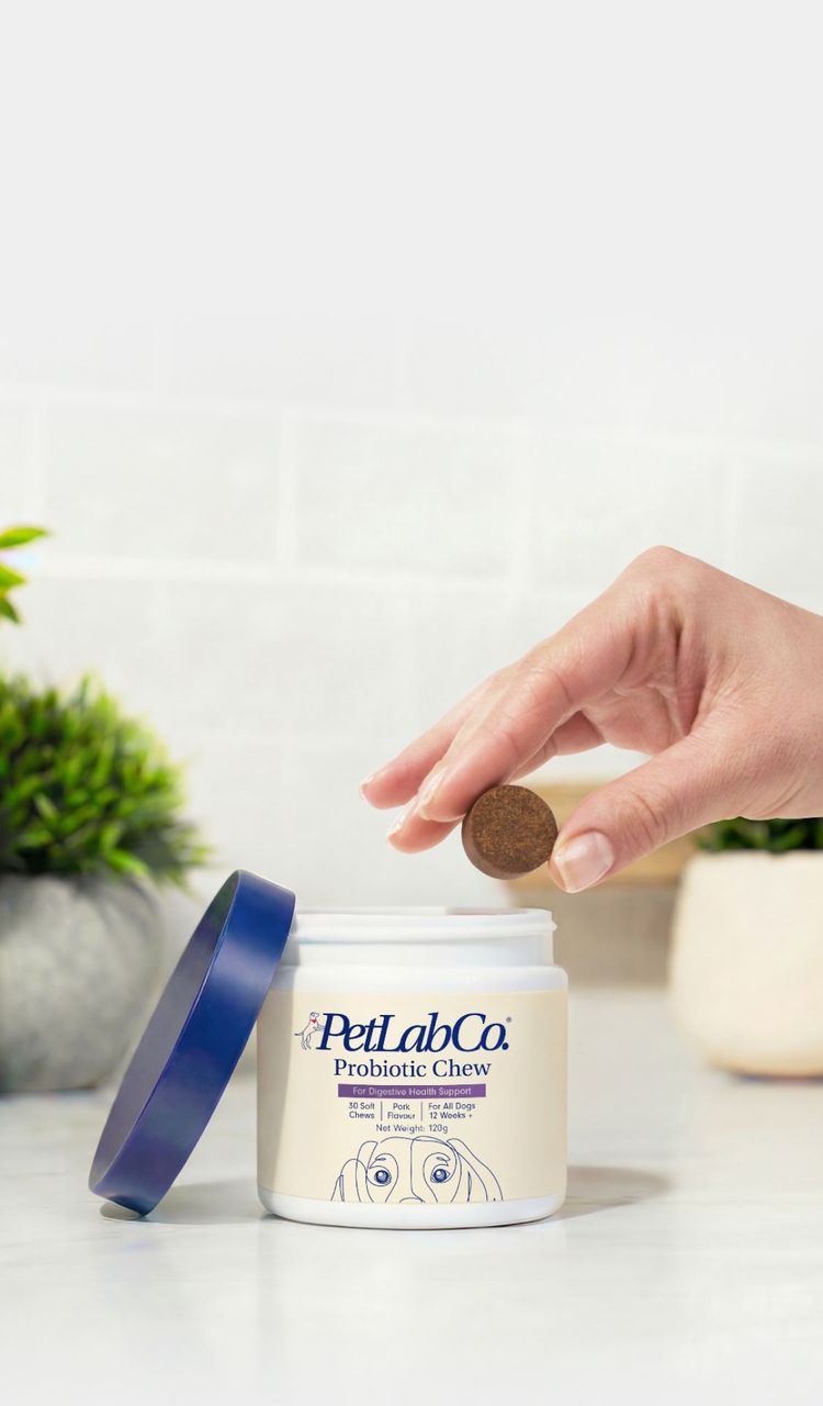 Petlab Home Hero Image