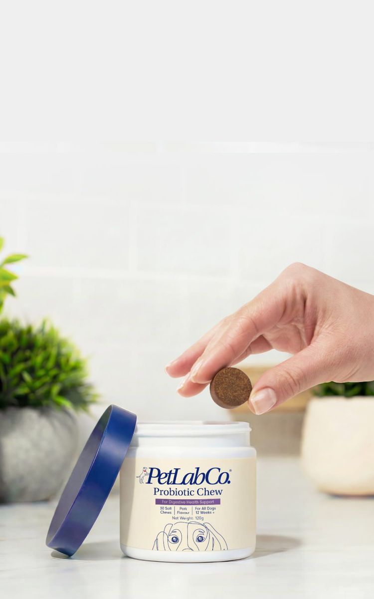 Petlab Home Hero Image