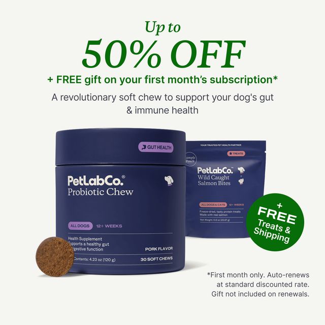 Probiotic Chews with free Wild Caught Salmon Bites — up to 50% off