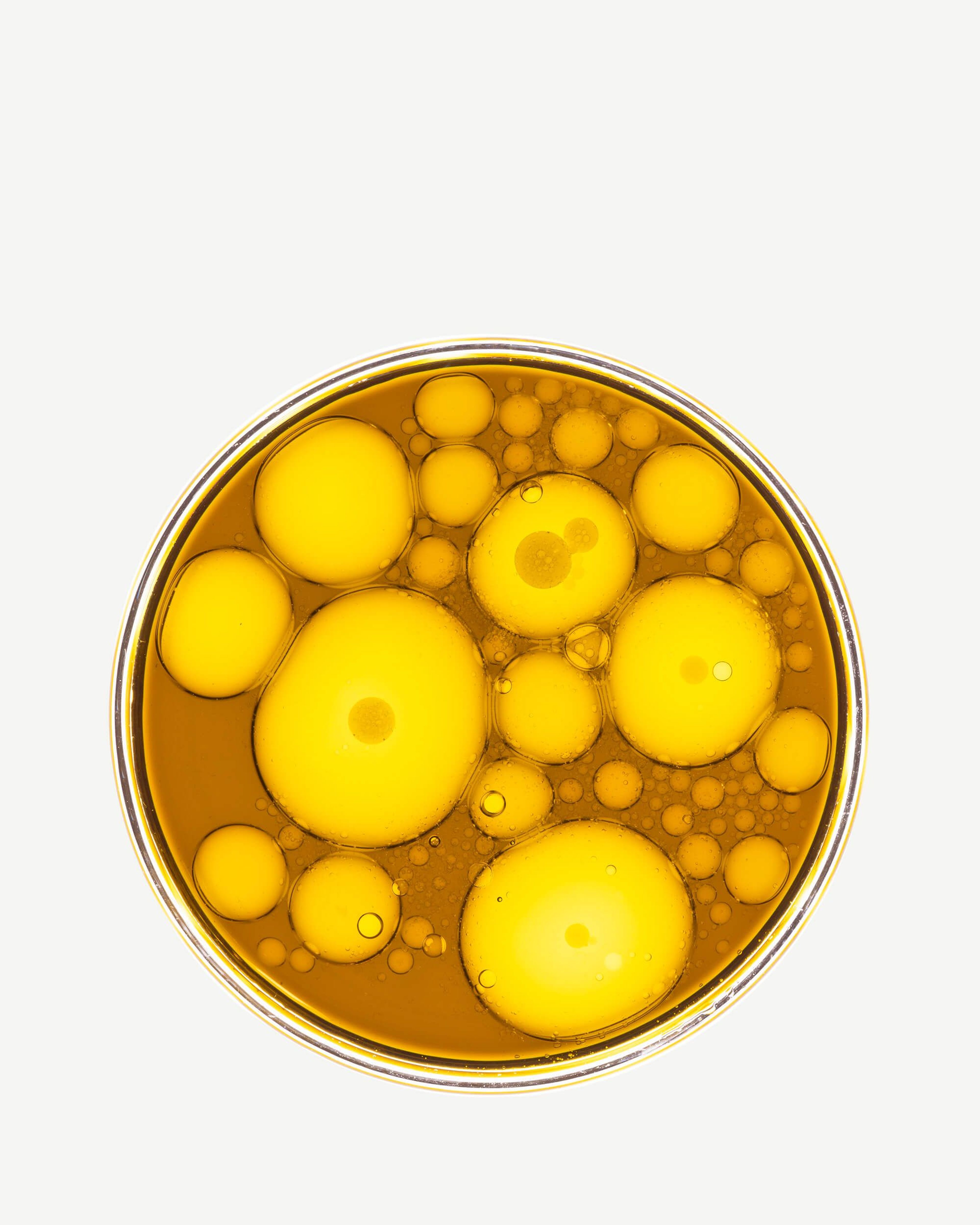 Mélange de 8 souches de bactéries bénéfiques