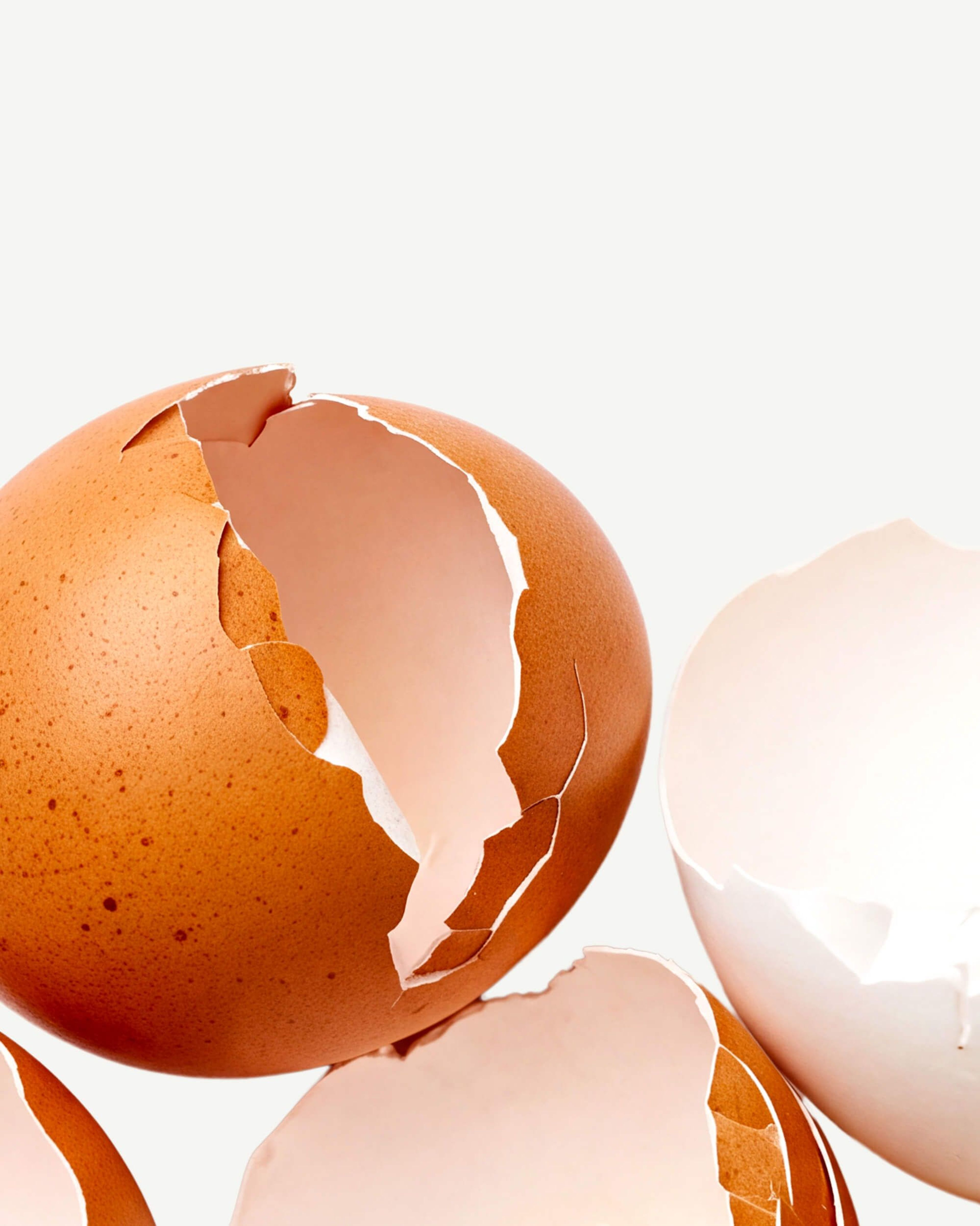 Eggshell Membrane Collagen (Type I, V & X)