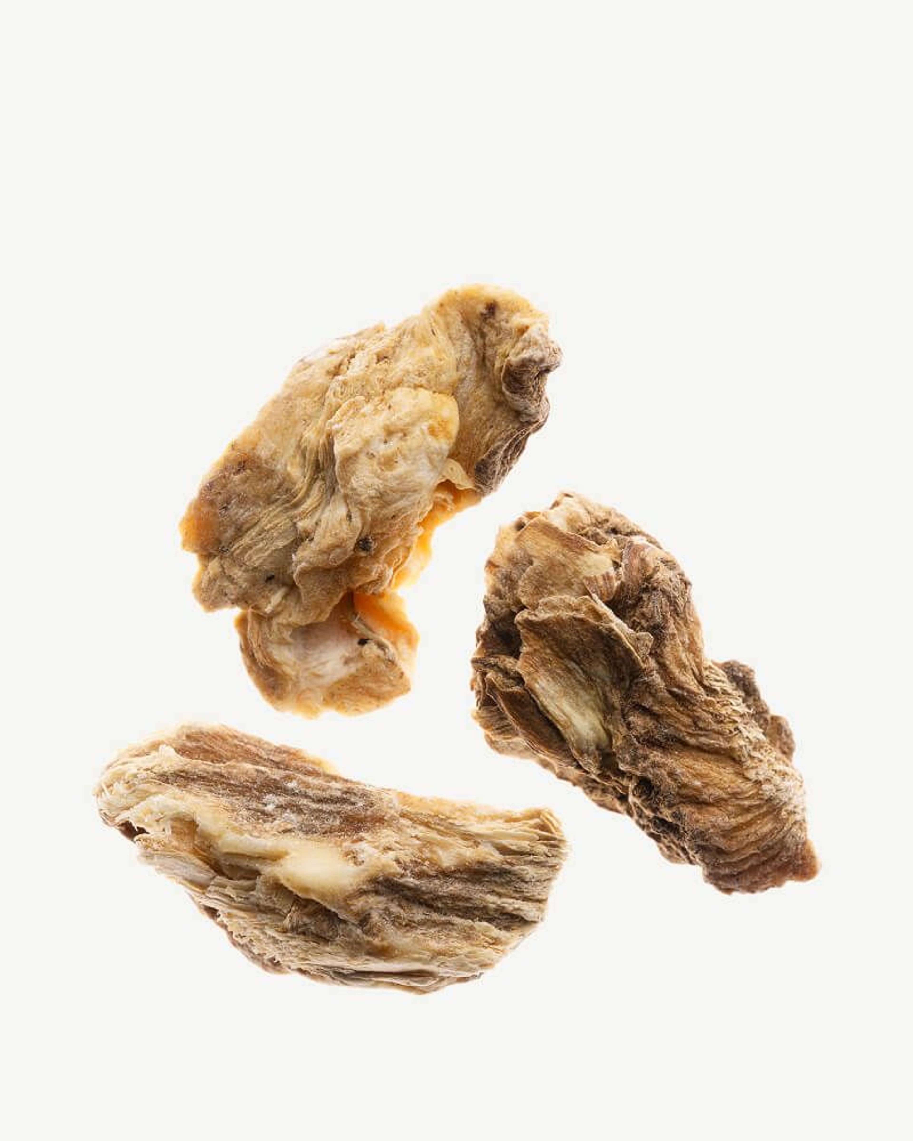 Prebiotic - Fructooligosaccharides (FOS)