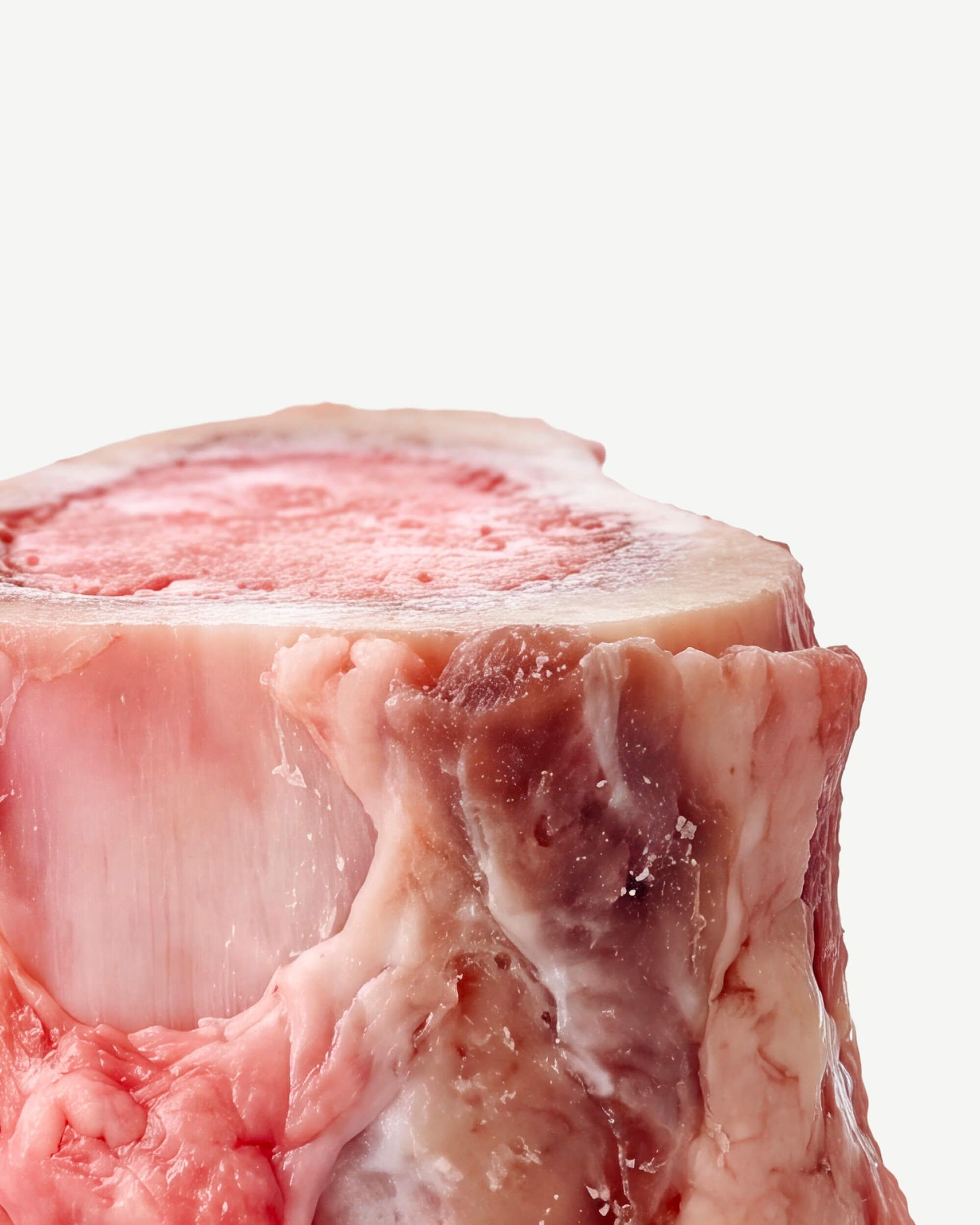 Hydrolyzed Bovine Collagen Peptides (Type I & III)