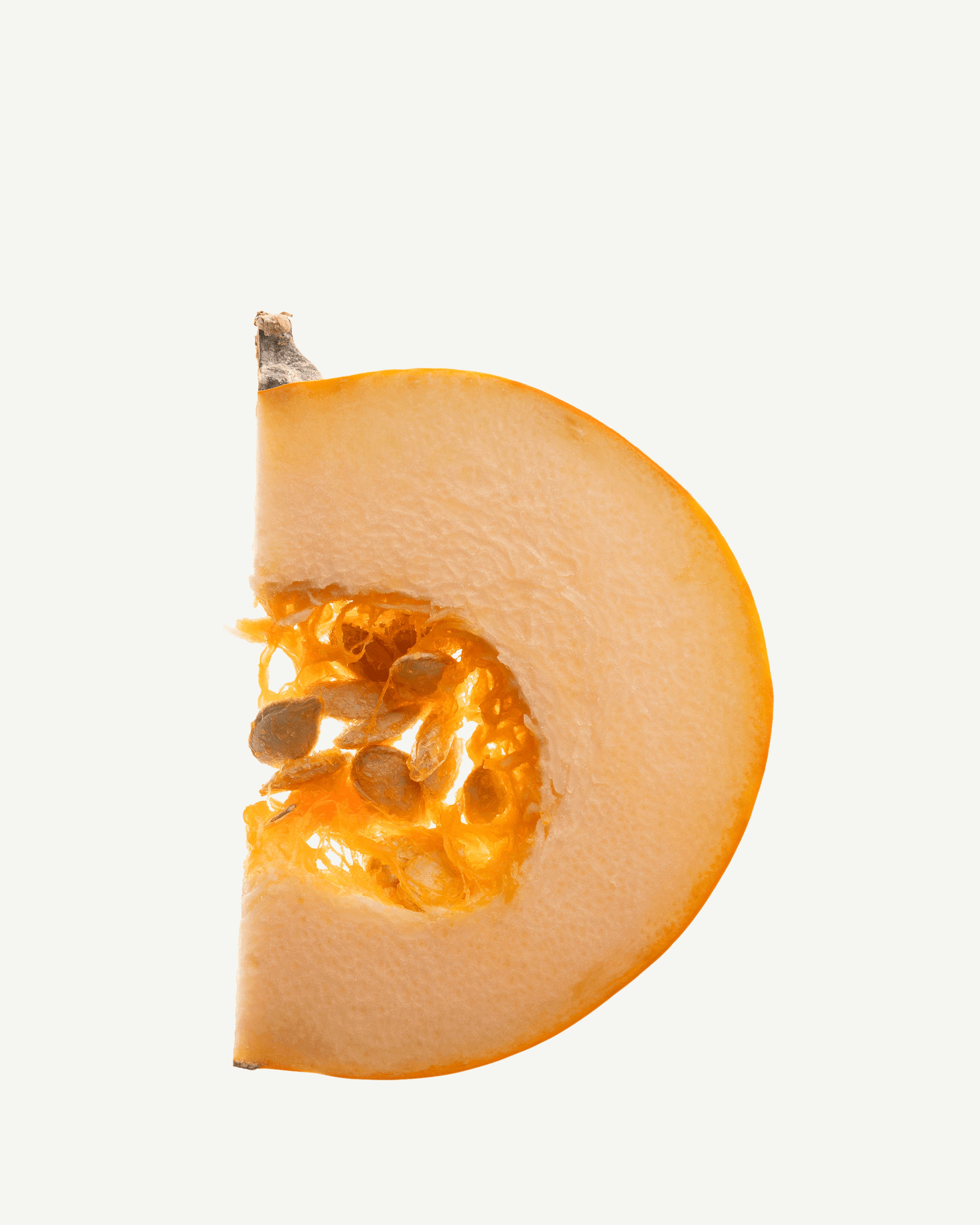 Fruit de la citrouille (Cucurbita pepo)