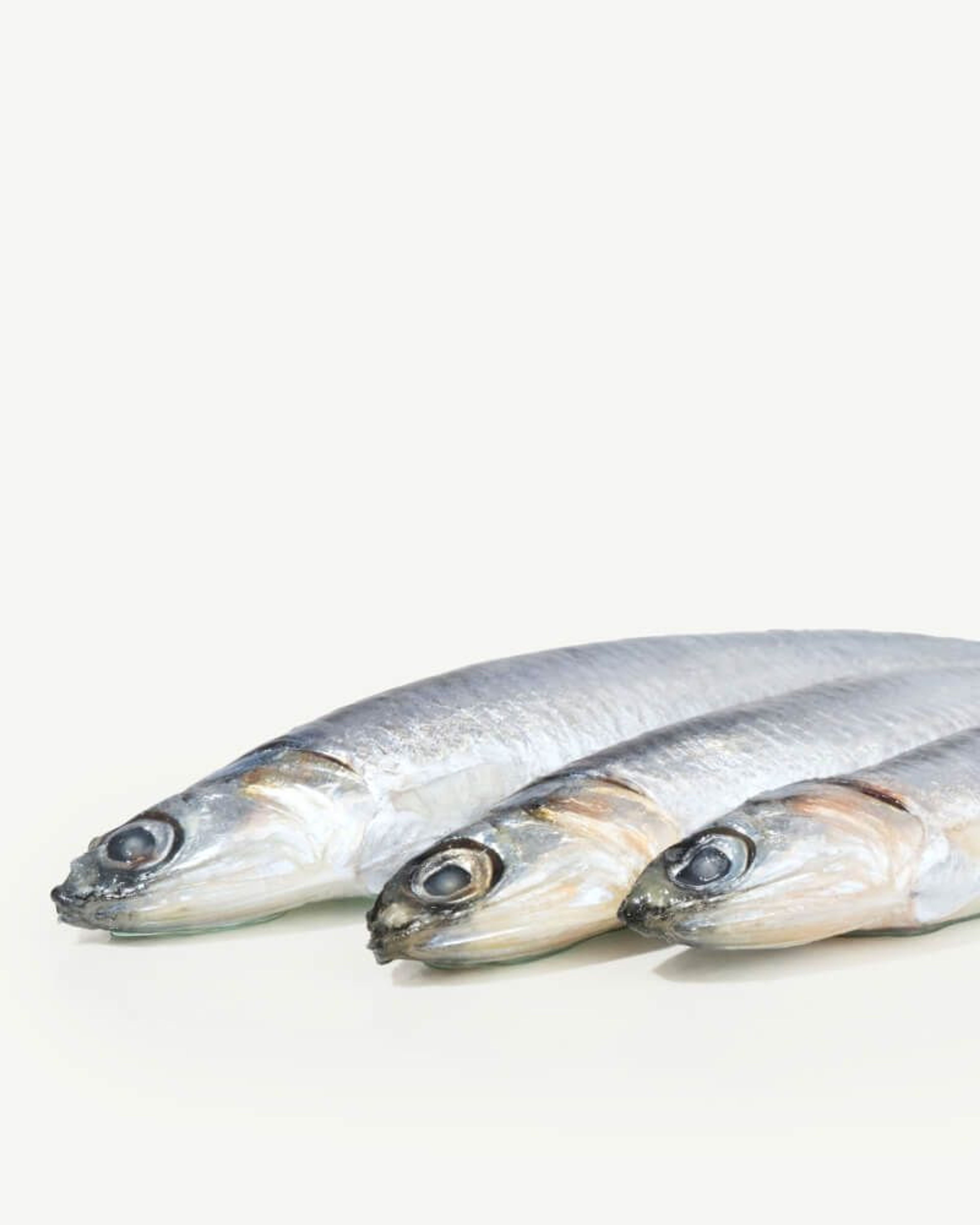 Total Omega 3 Fatty Acids (Anchovy Oil)