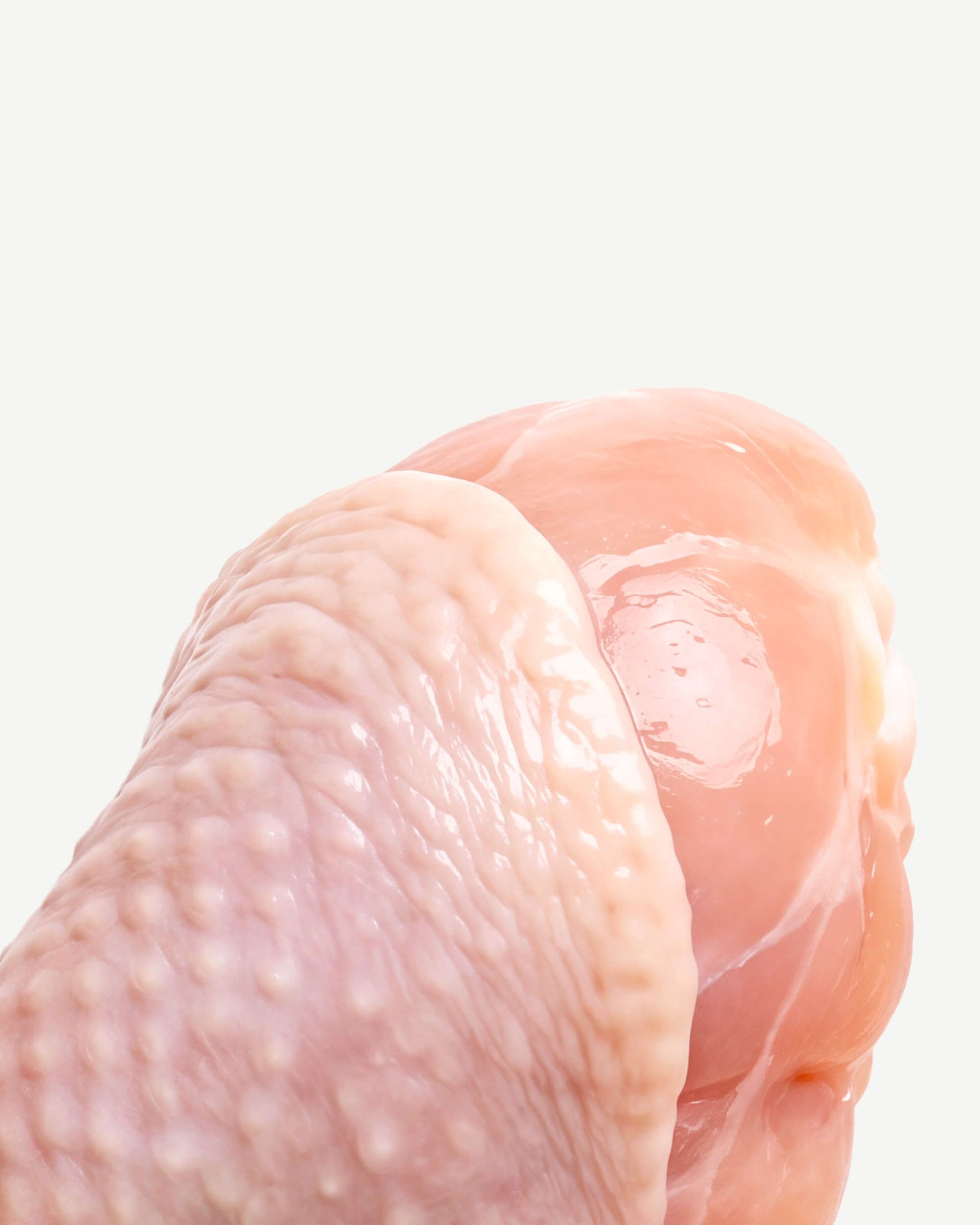 UC-II® Collagen (from Chicken)