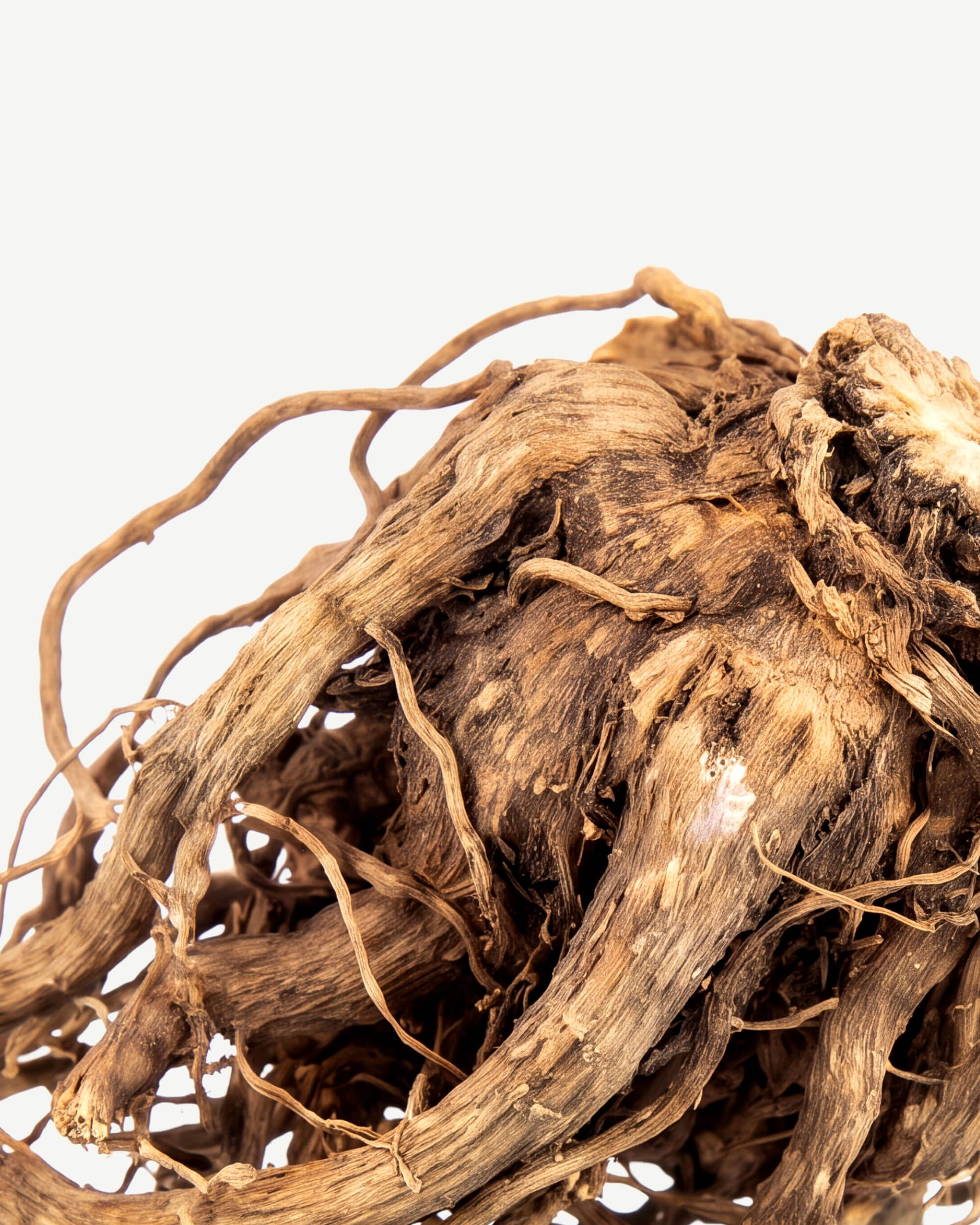 Valerian Root