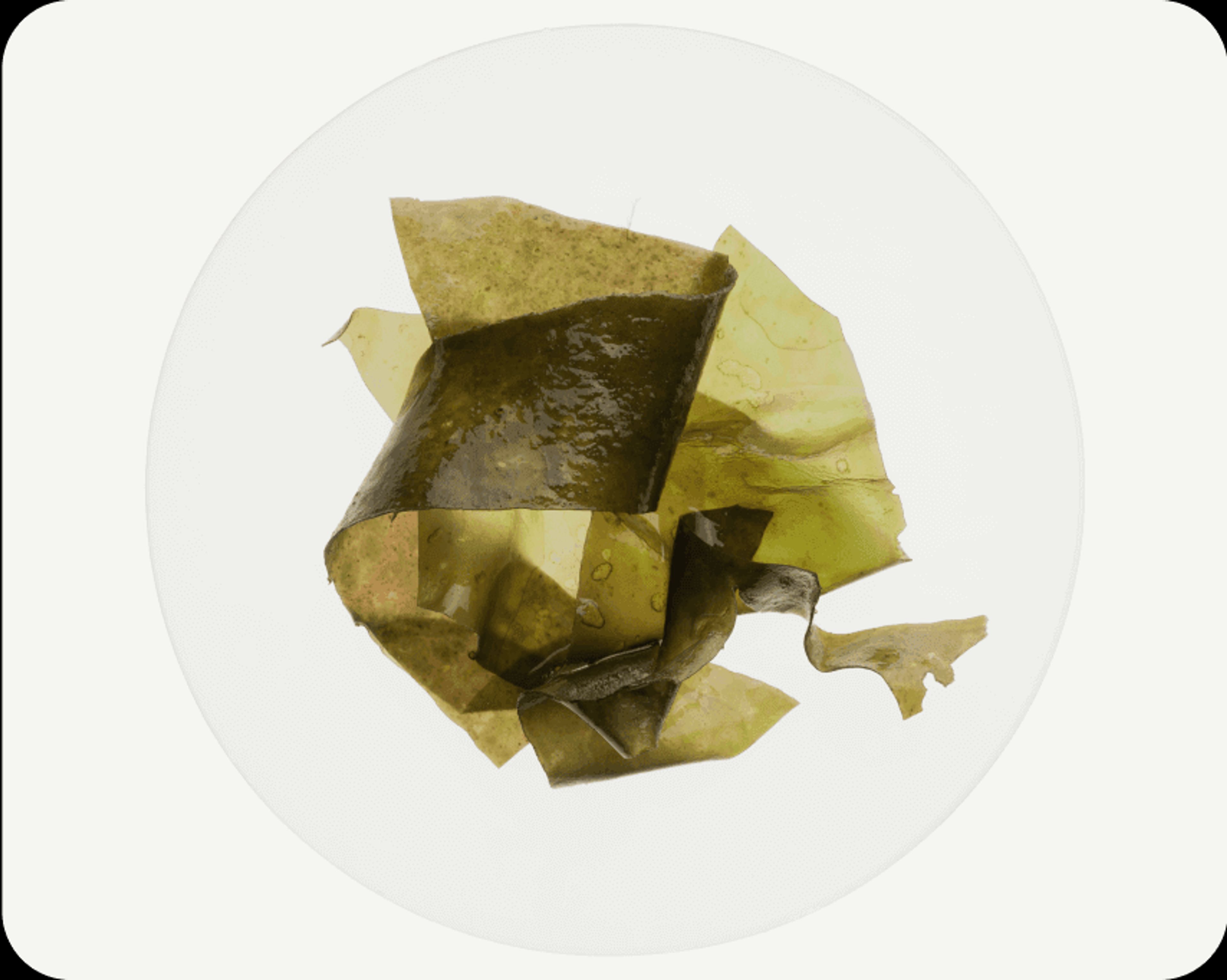 Brown Algae (Ascophyllum nodosum)
