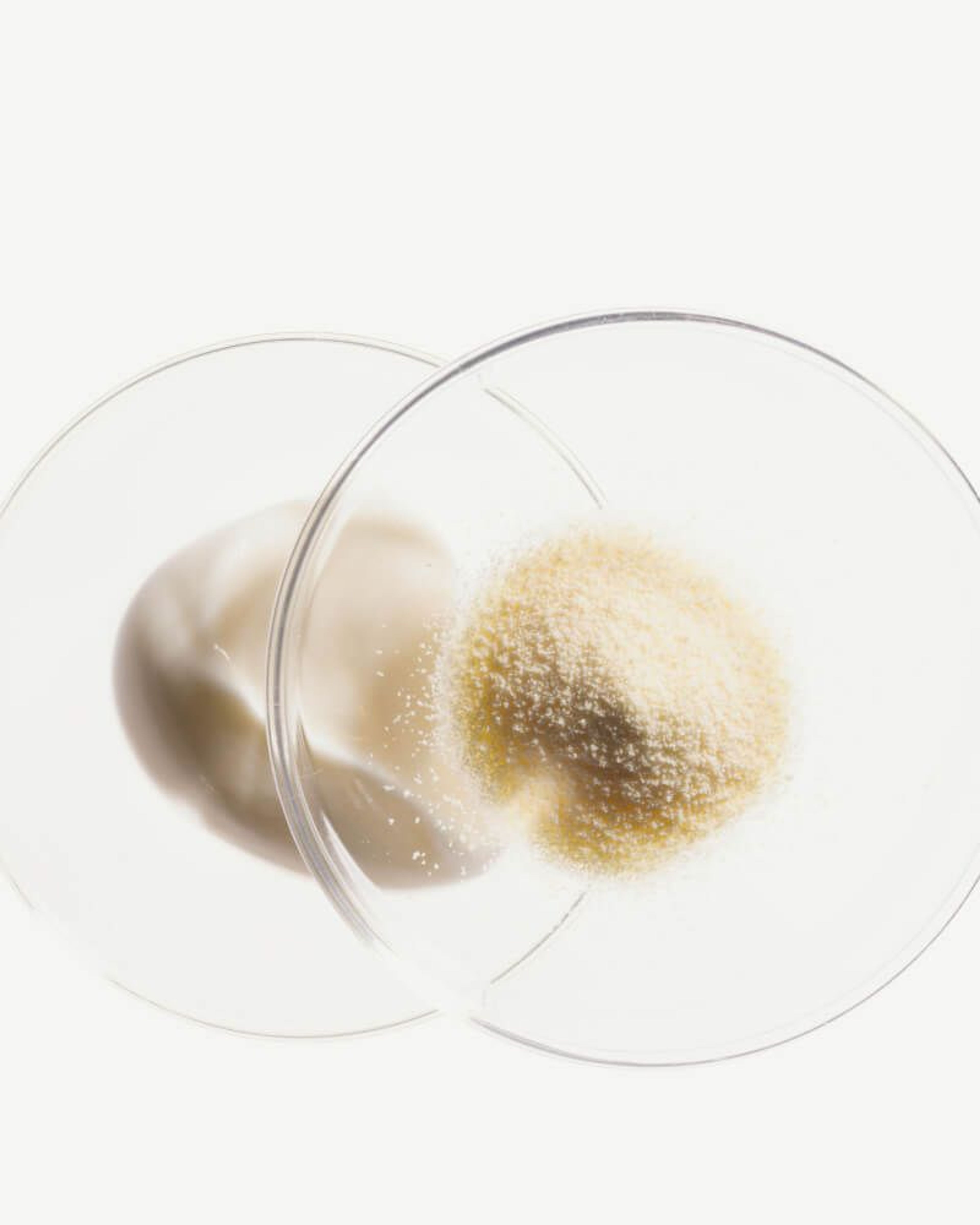 Chondroitin Sulfate (Bovine)