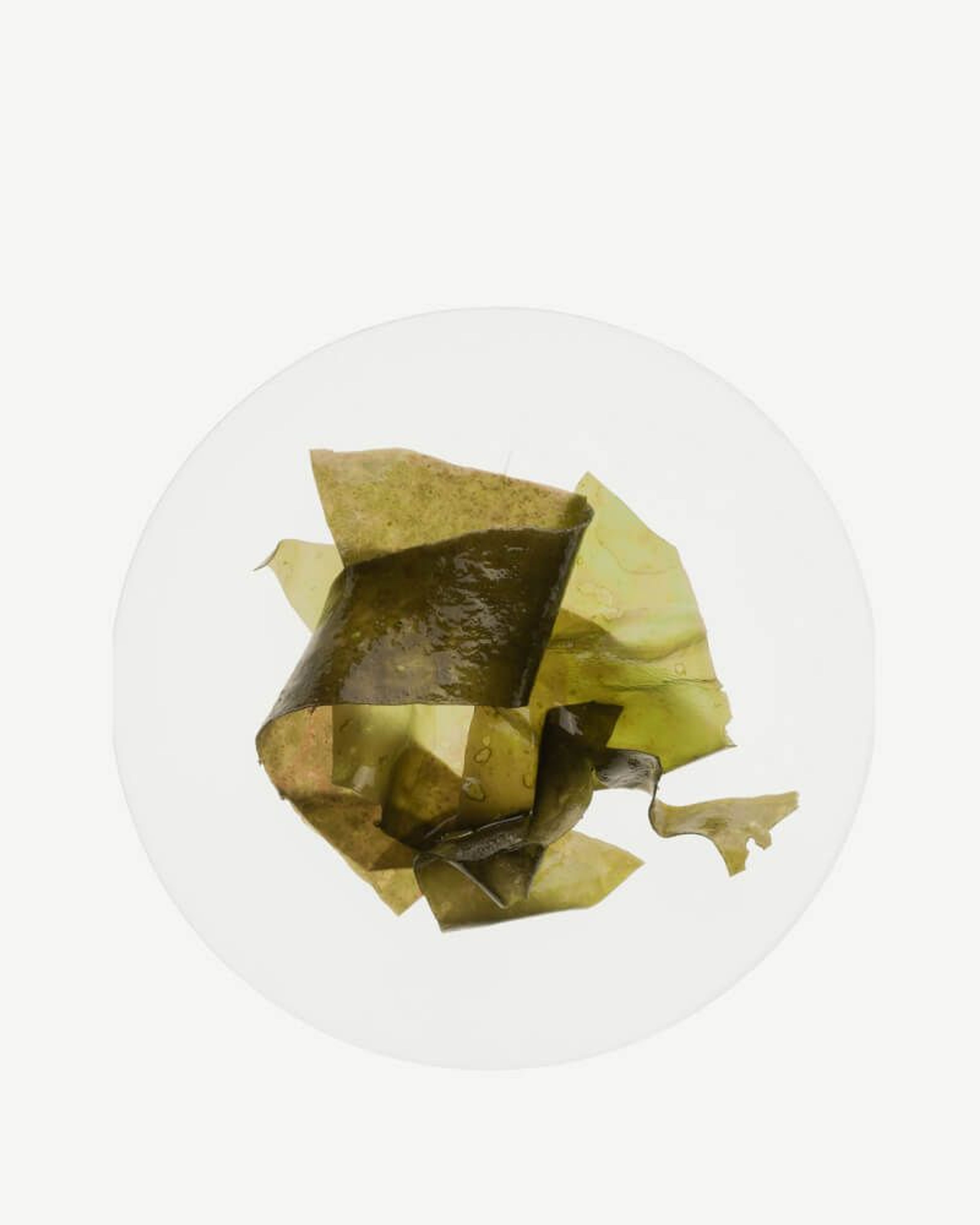 Kelp Whole Plant (Ascophyllum nodosum)