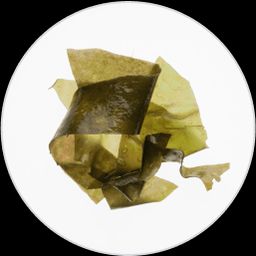Teeth Icon