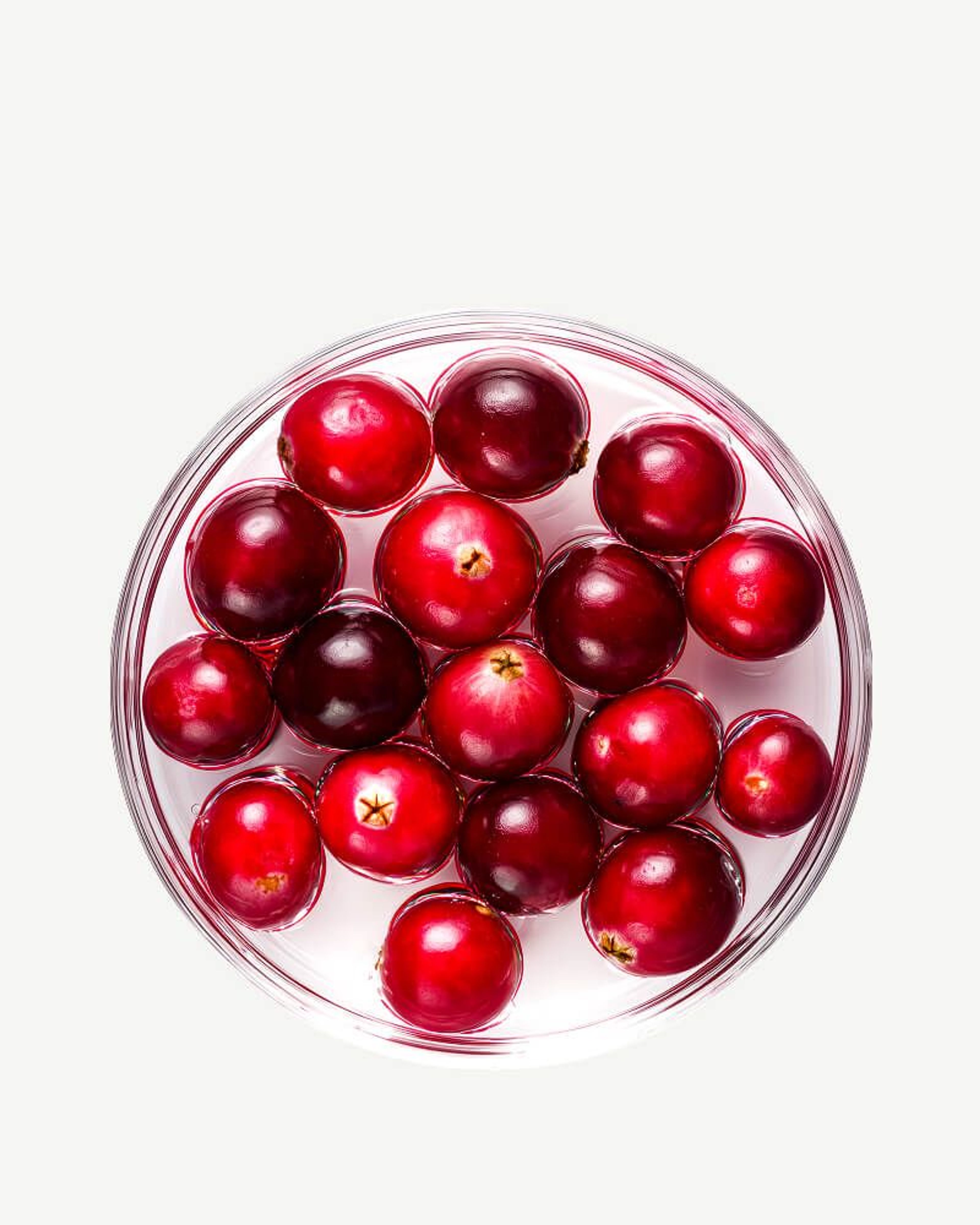 Cranberry Extract