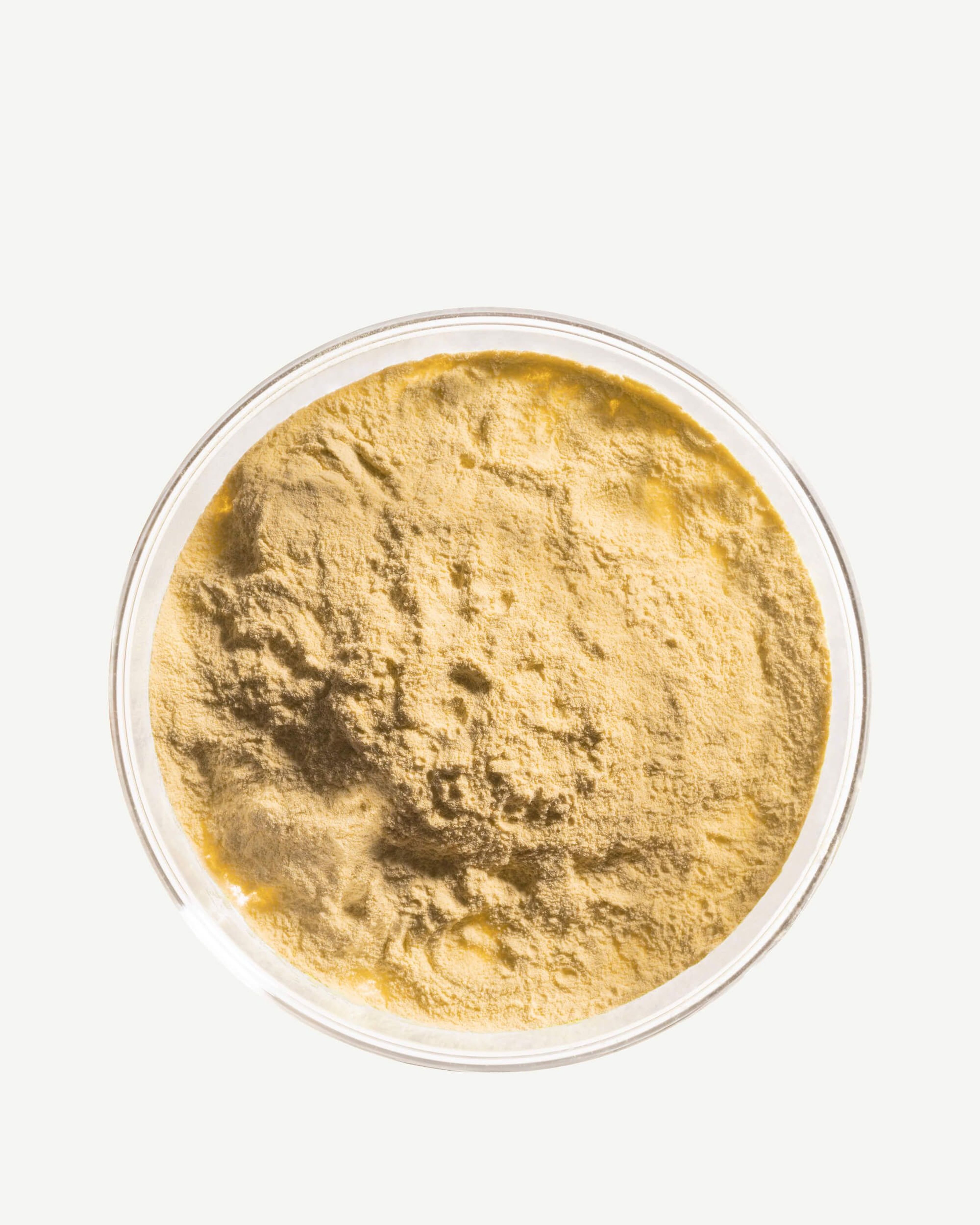 Prébiotiques (FOS et GOS)