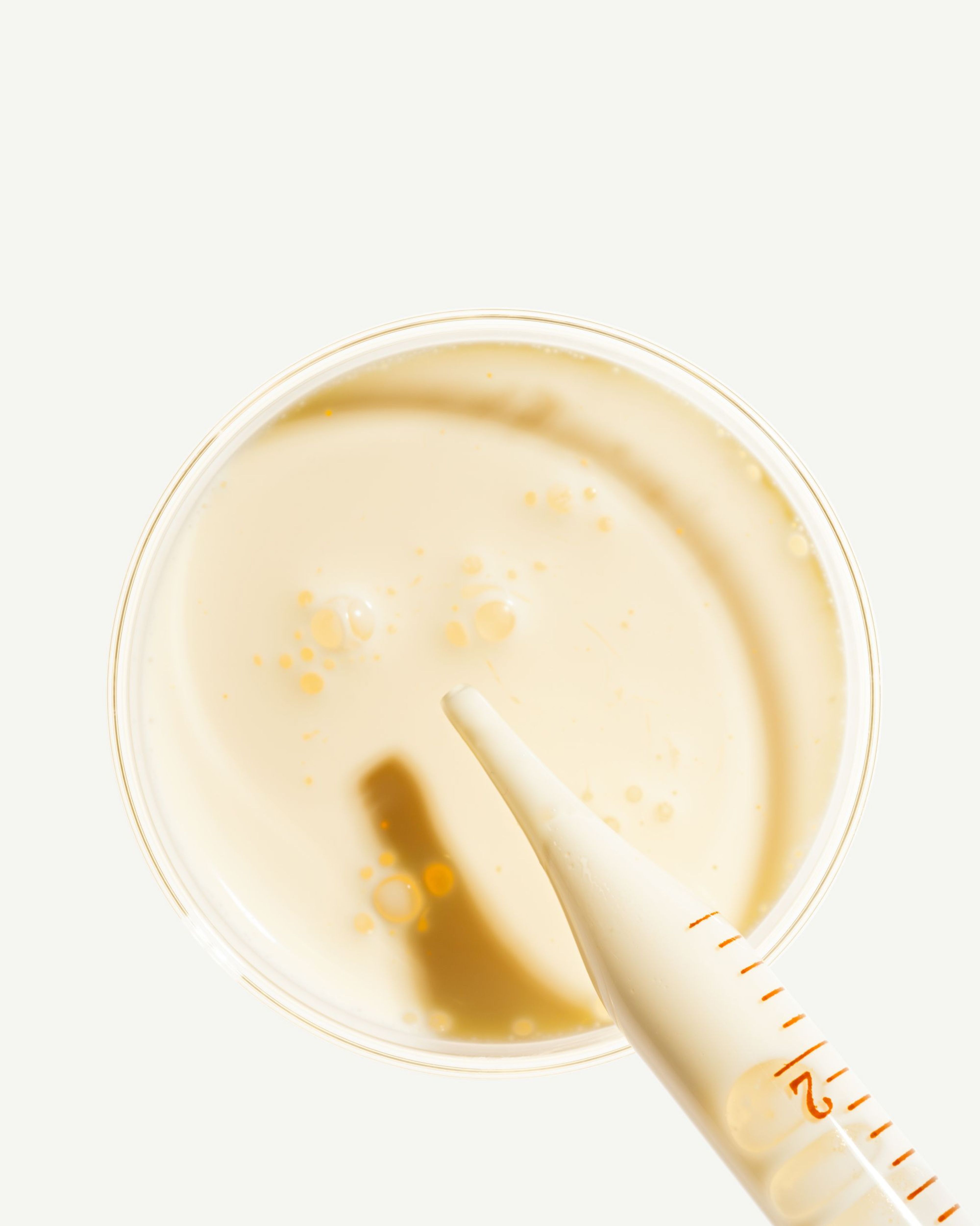 Galactooligosaccharides (GOS)