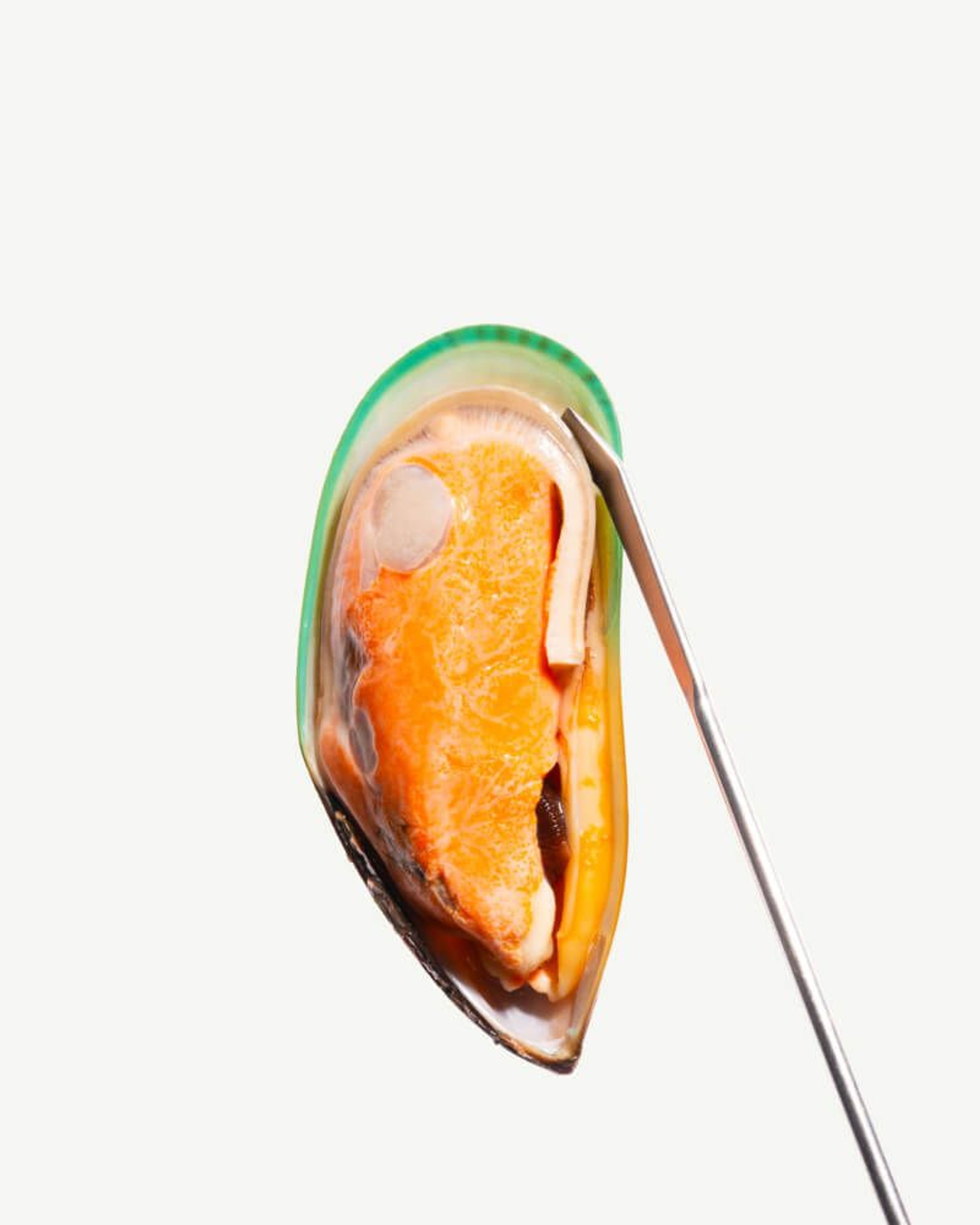 Green Lipped Mussel (Perna canaliculus -- A Natural Source of Chondroitin)