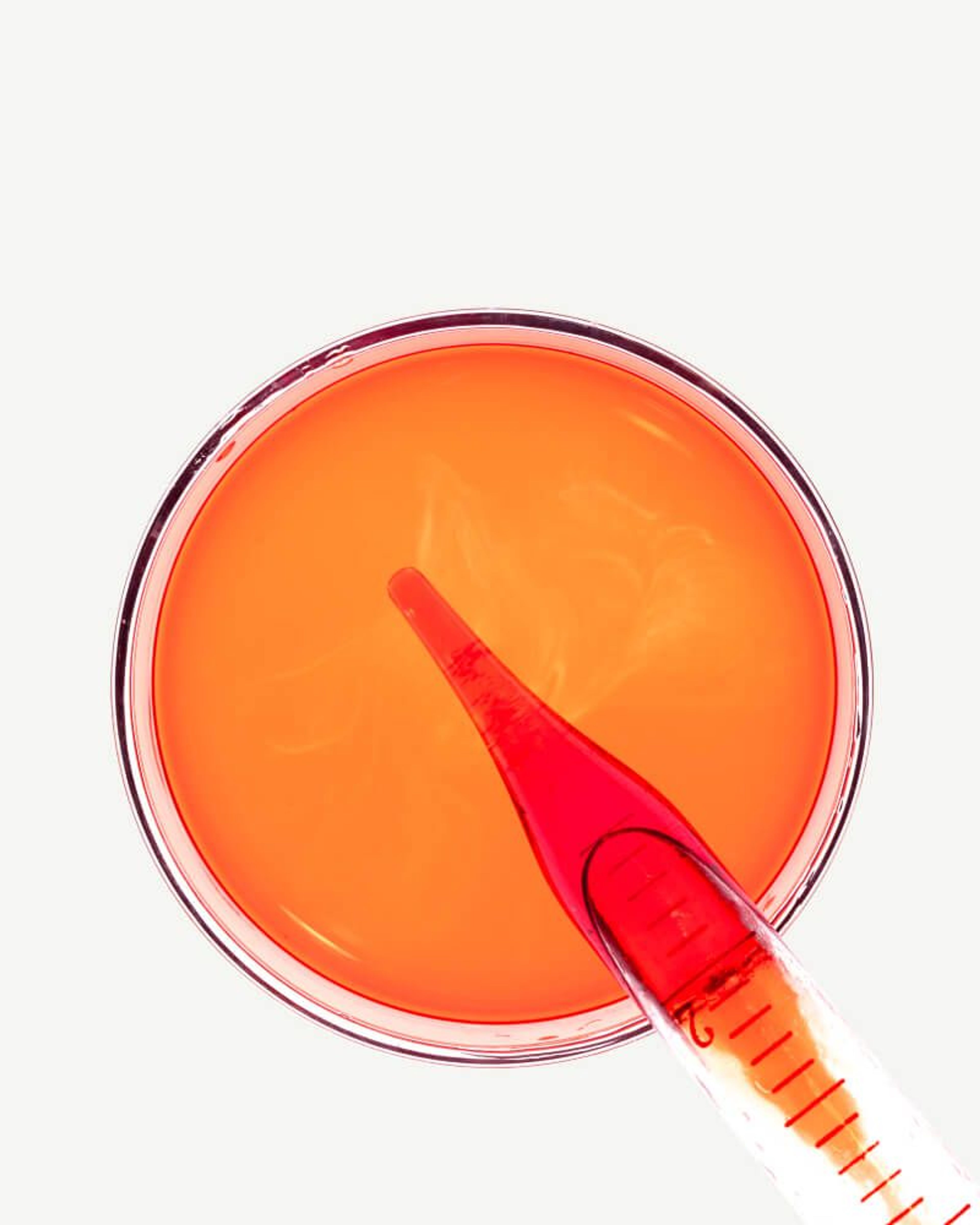 Krill (A Source of Omega-3 Fatty Acids)