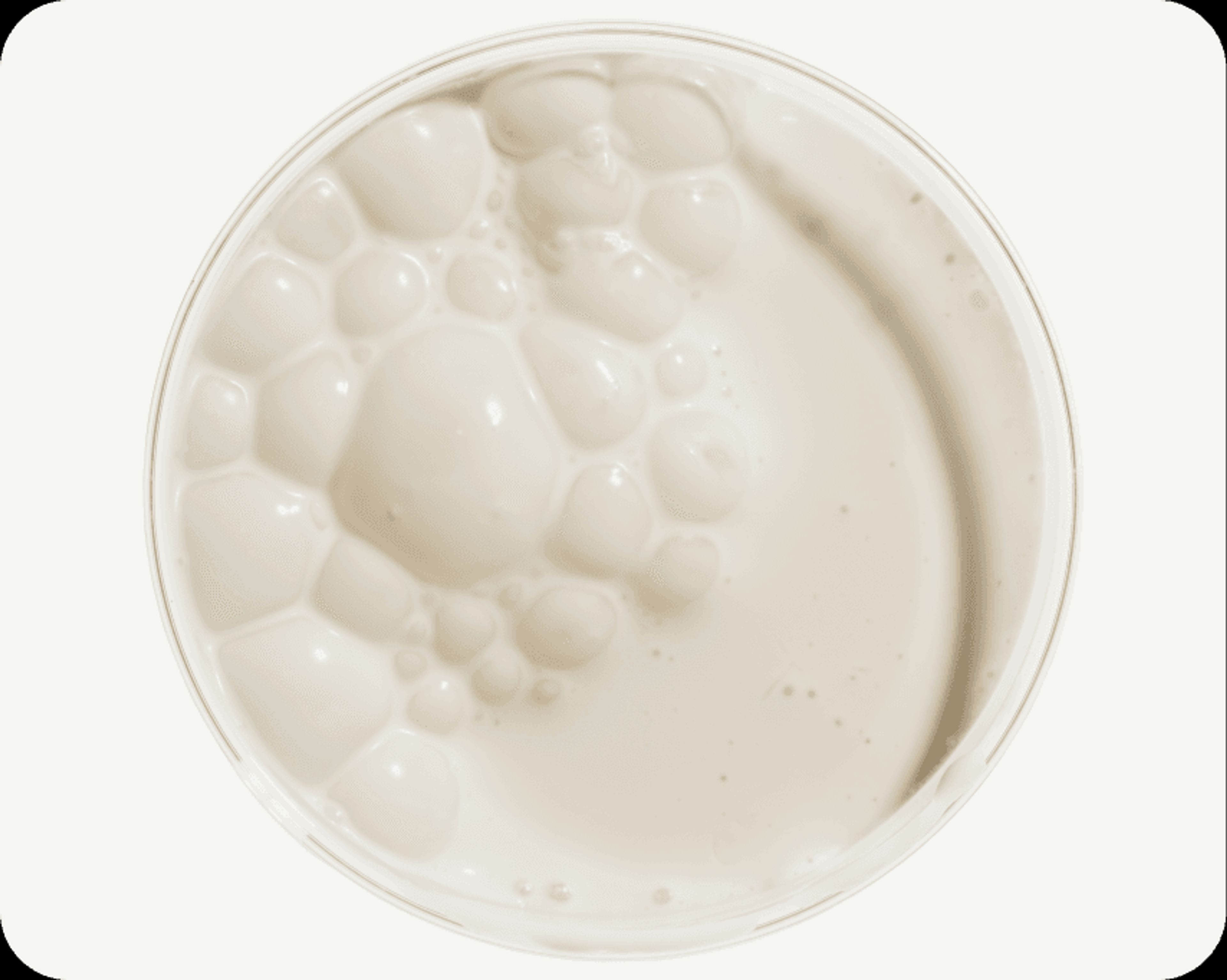 A Proprietary Blend of Probiotics