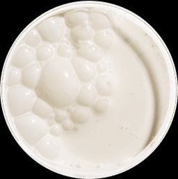 Teeth Icon