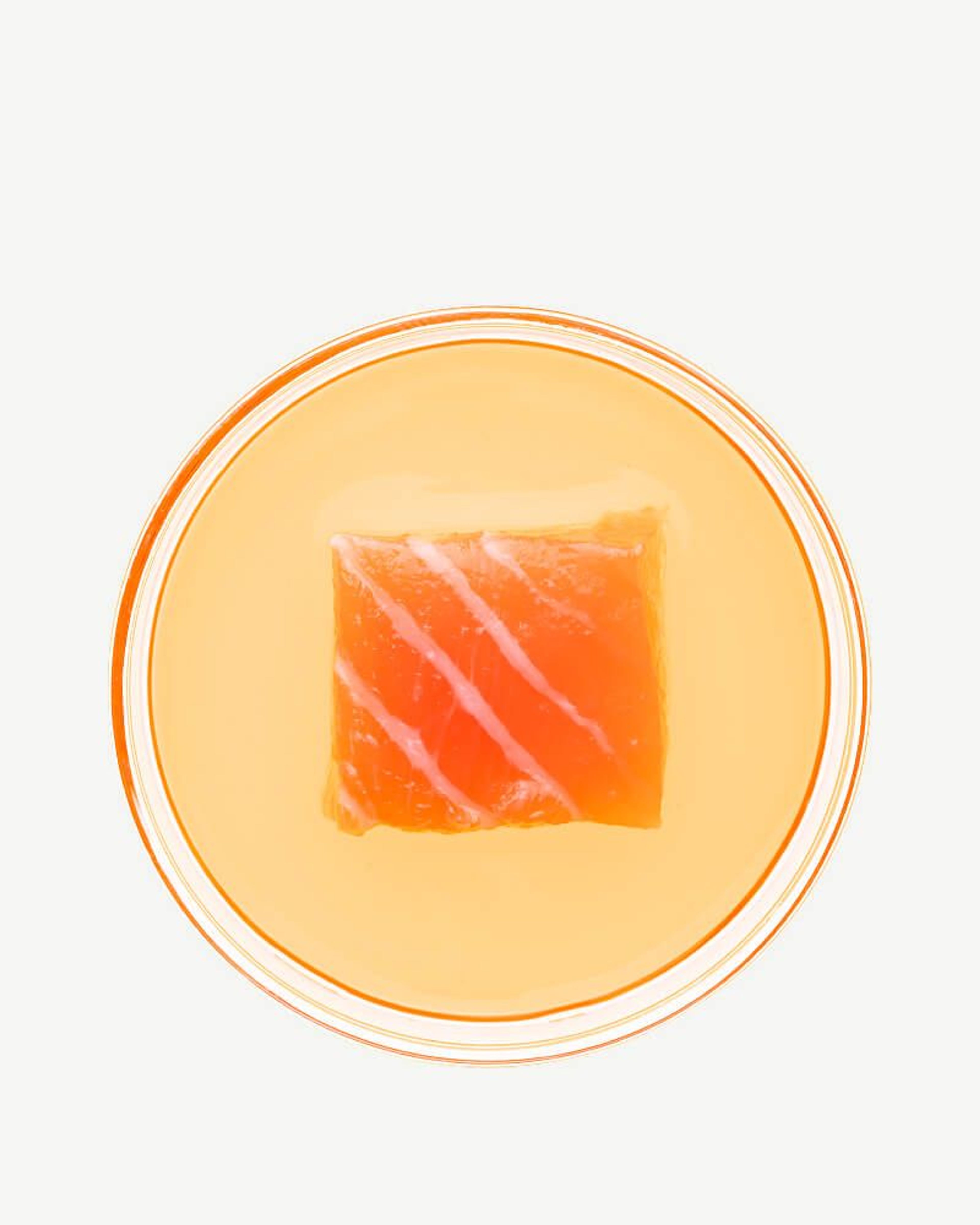 Salmon Oil