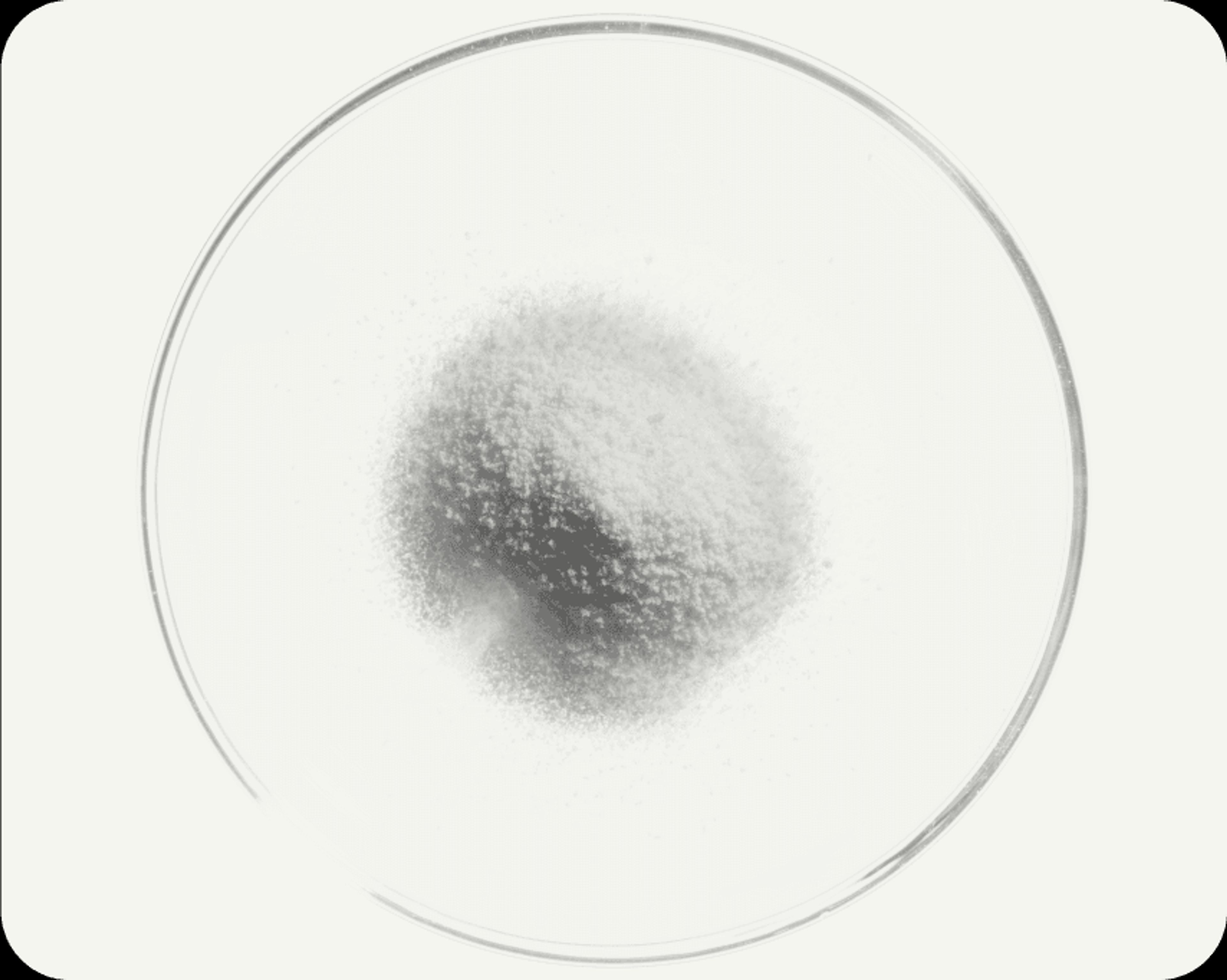 Sodium Hexametaphosphate