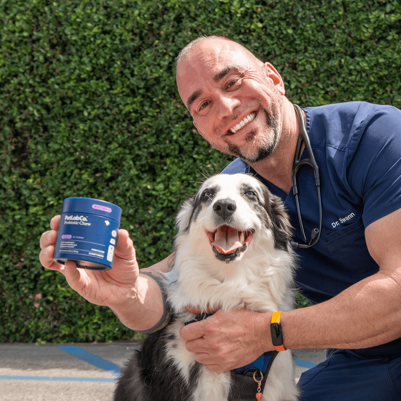 A PetLab Co. veterinarian holding Probiotic Chews