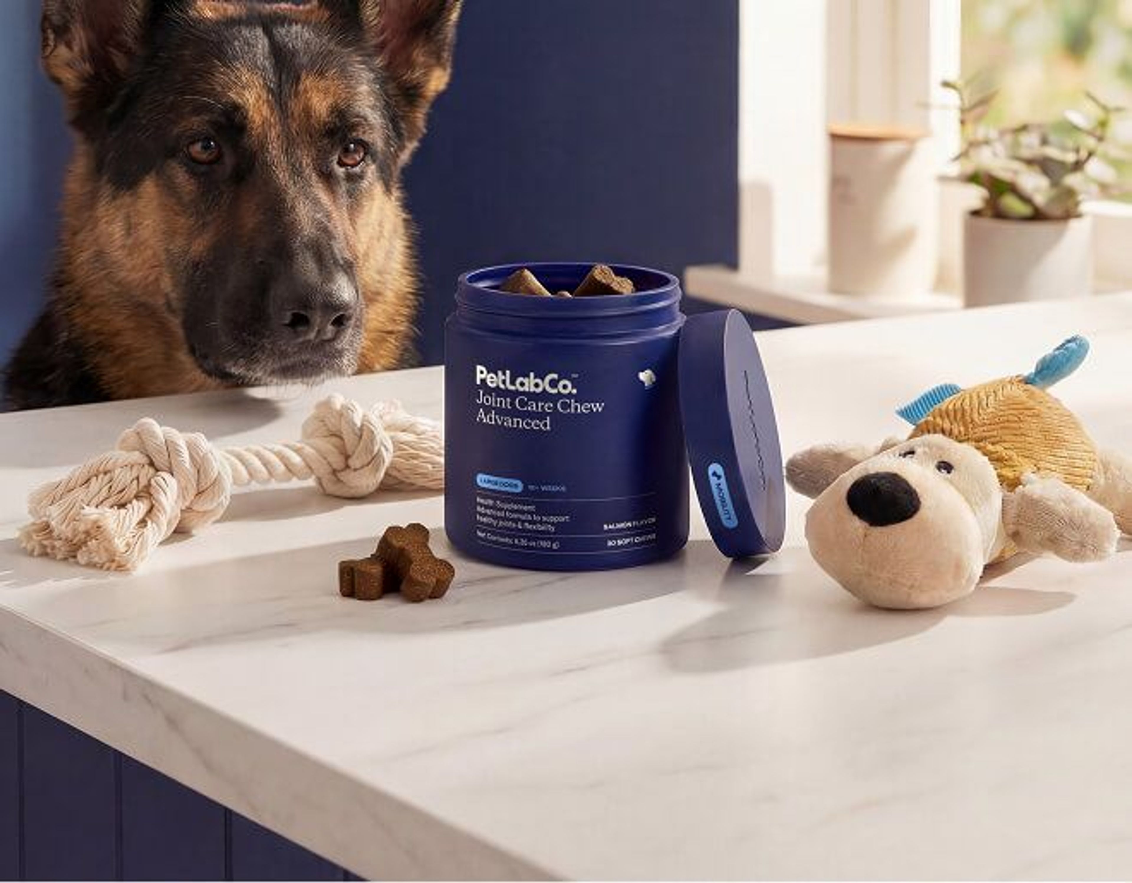 Advanced Joint Care Chew