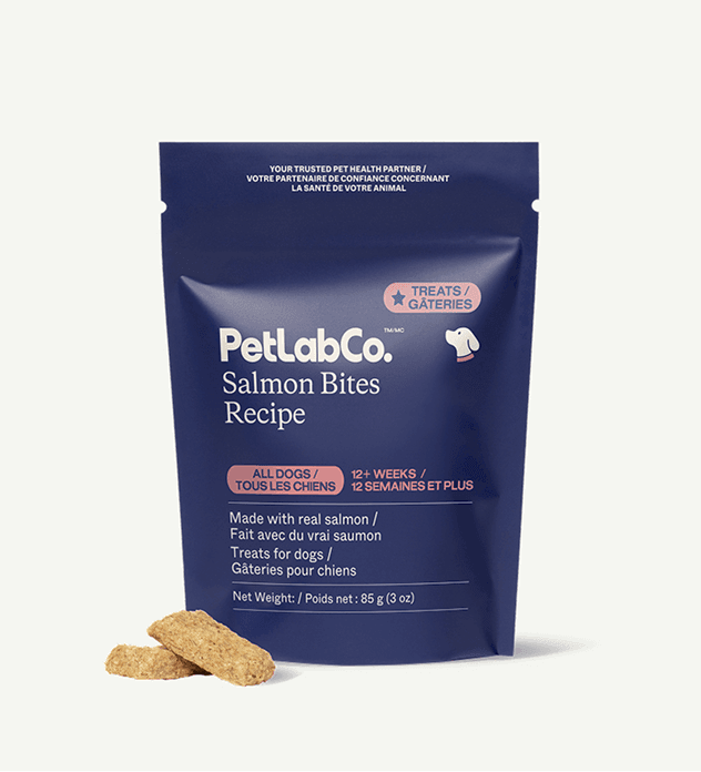 Prebiotic Dental Sticks for Dogs