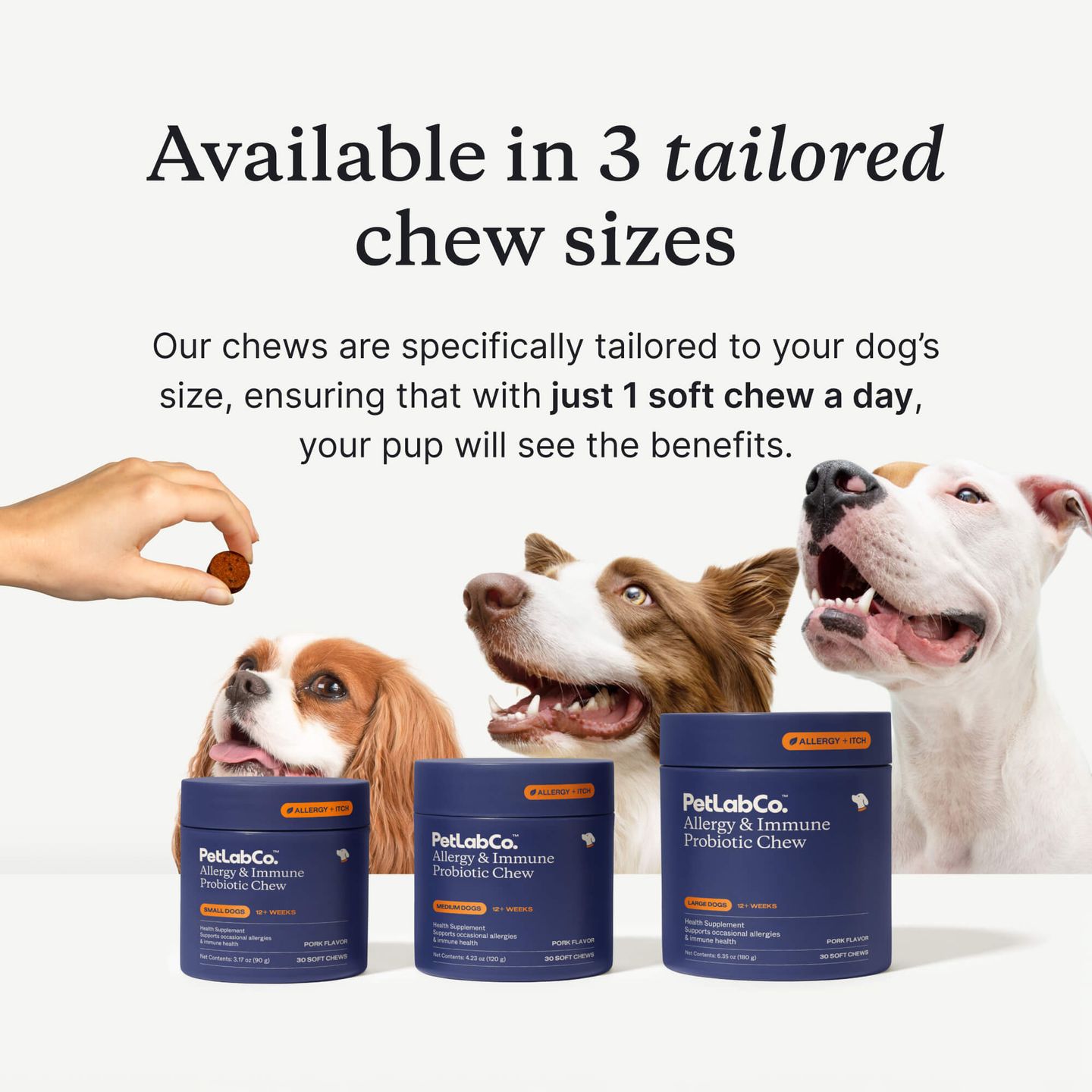 PetLabCo. Allergy & Immune Chews – Dog Probiotics for Seasonal Allergies - Case Report For Natural Dog Food With Probiotics And Skin Allergy