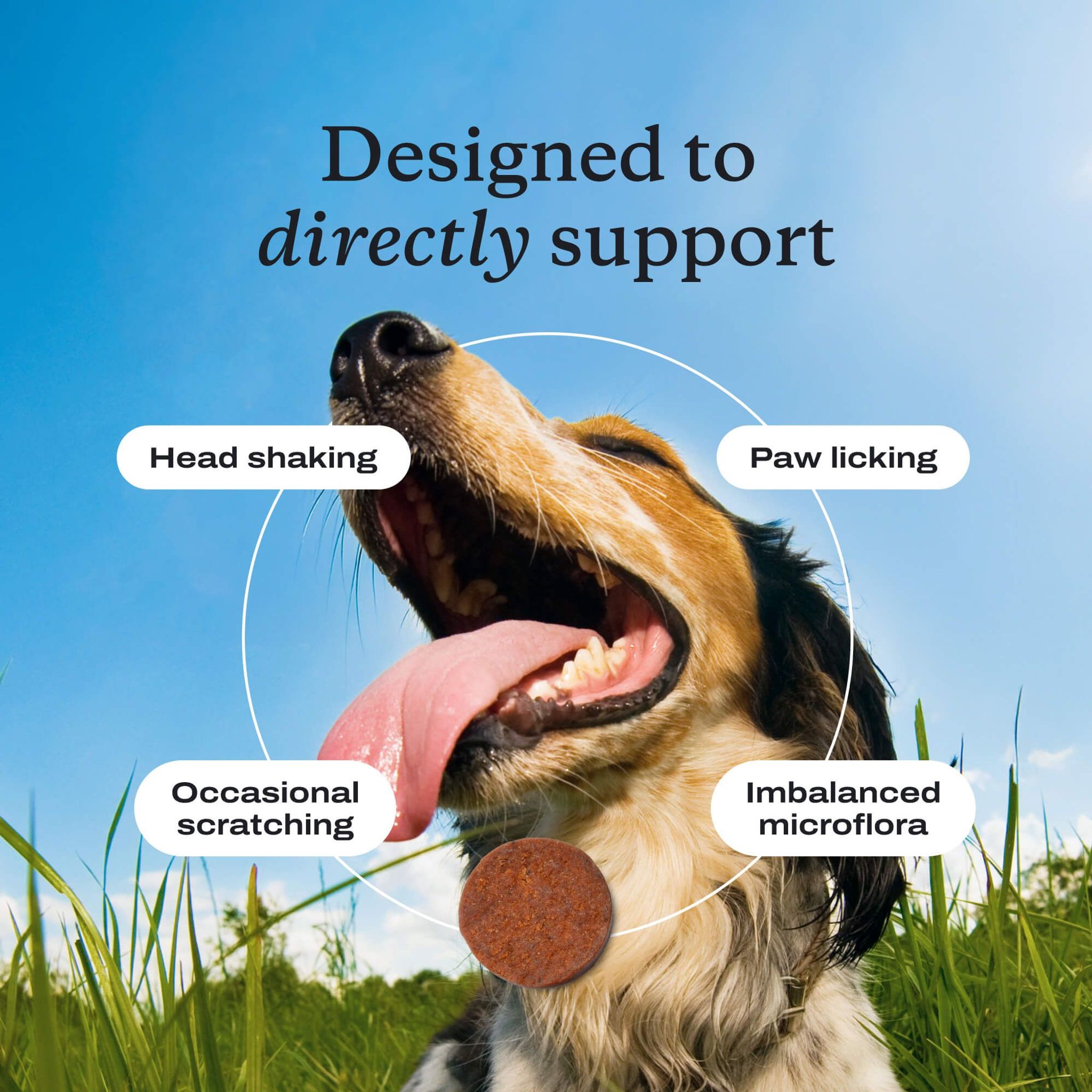 PetLabCo. Allergy & Immune Chews – Dog Probiotics for Seasonal Allergies - Case Report For Natural Dog Food With Probiotics And Skin Allergy