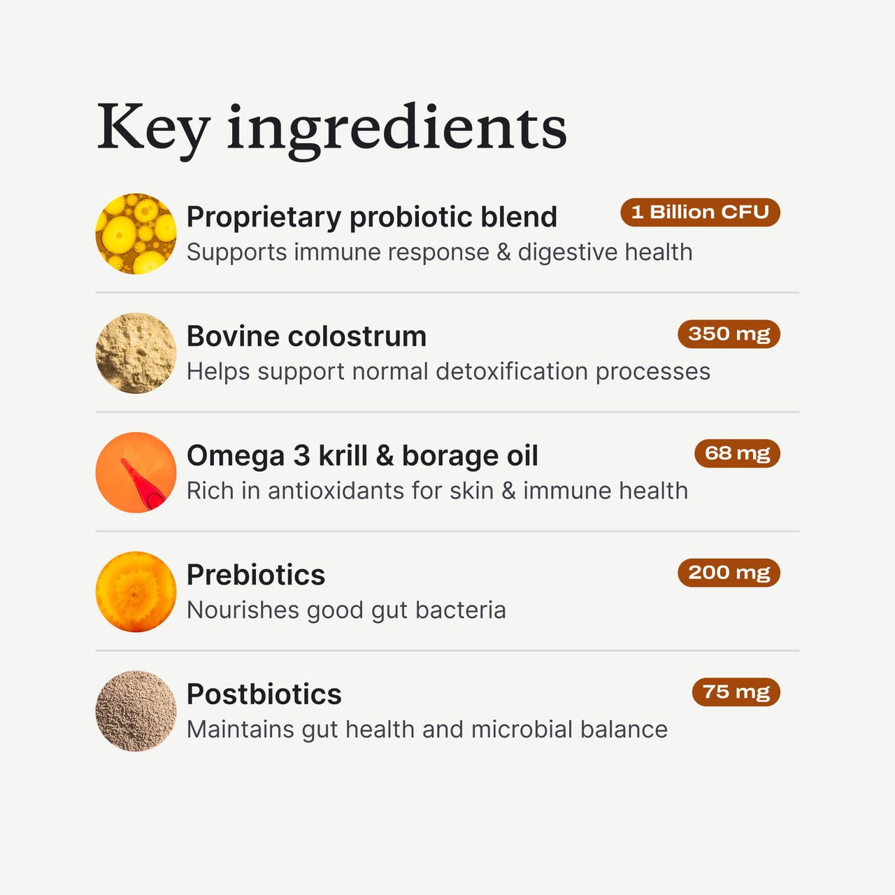 PetLabCo. Allergy & Immune Chews – Dog Probiotics for Seasonal Allergies